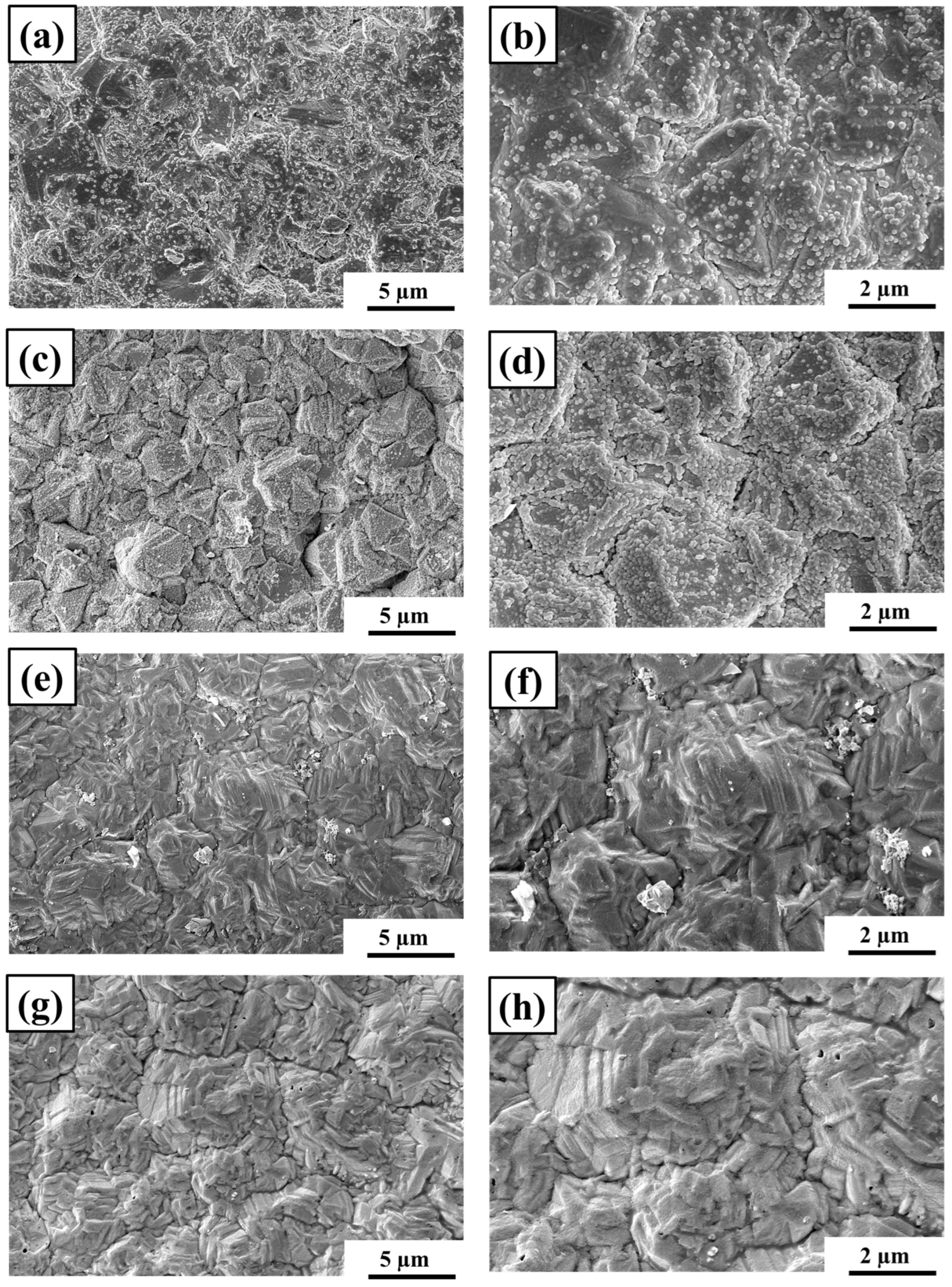 Thermo 04 00002 g004