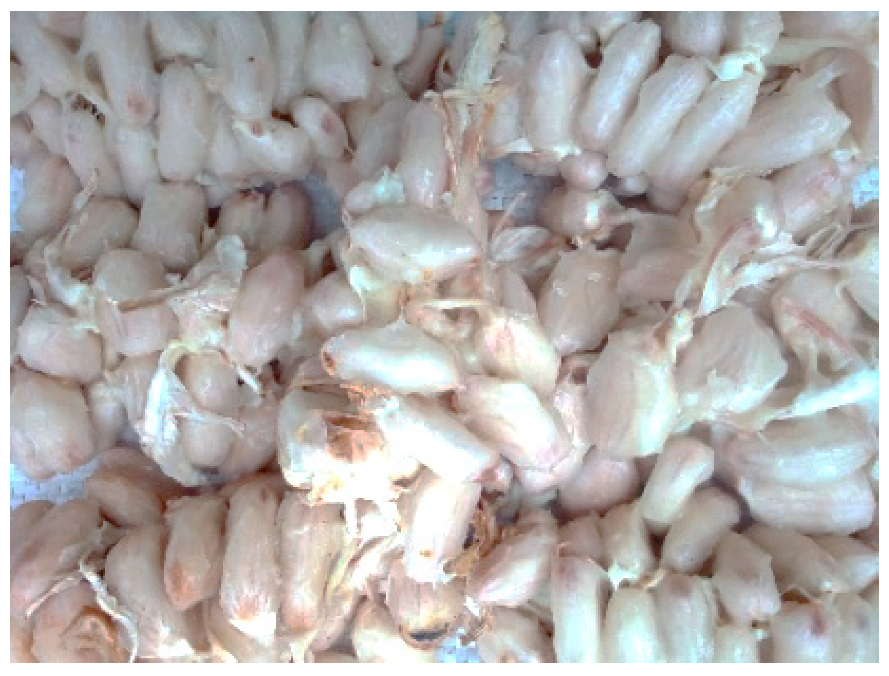 Thermo 05 00018 g006