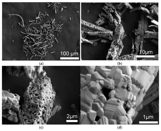 テラバイト　4個セット 5KU SFタイプ Wardenブラストディフューザー/4-Prongフラッシュ