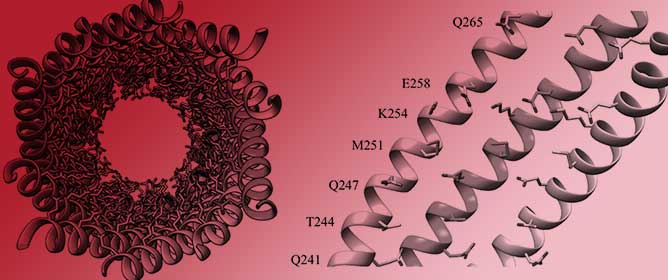 Viruses An Open Access Journal From Mdpi viruses an open access journal from mdpi
