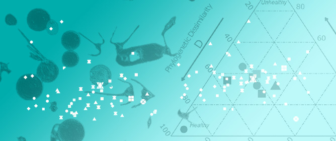 The Eco-Evo Mandala: Simplifying Bacterioplankton Complexity into Ecohealth Signatures