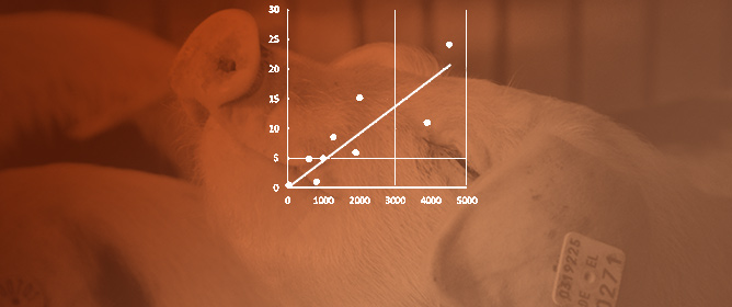 Mycotoxin Biomarkers in Pigs&mdash;Current State of Knowledge and Analytics