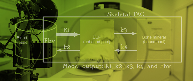 A Short Dynamic Scan Method of Measuring Bone Metabolic Flux Using [<sup>18</sup>F]NaF PET