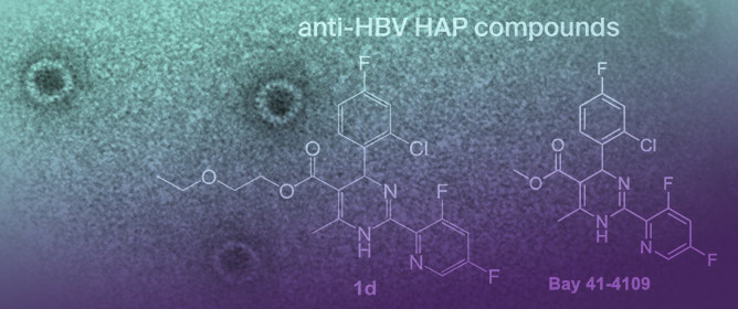 Design and Synthesis of Hepatitis B Virus (HBV) Capsid Assembly Modulators and Evaluation of Their Activity in Mammalian Cell Model