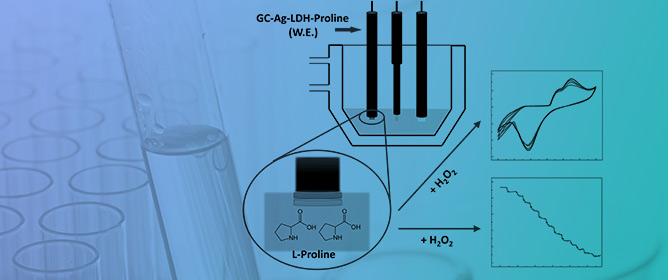 Novel Electrochemical Sensors Based on L-Proline Assisted LDH for H<sub>2</sub>O<sub>2</sub>&nbsp;Determination in Healthy and Diabetic Urine