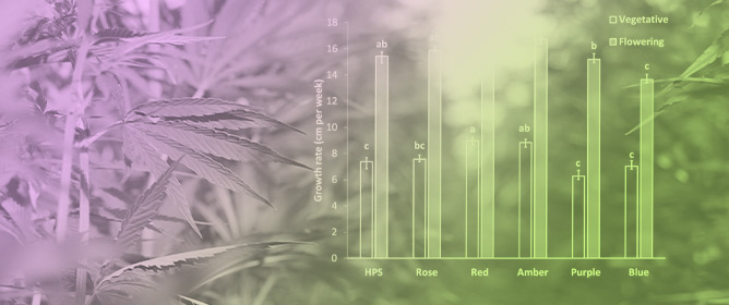 Light Quality Impacts Vertical Growth and Phytochemical Production Efficiency&nbsp;in <em>Cannabis sativa</em>