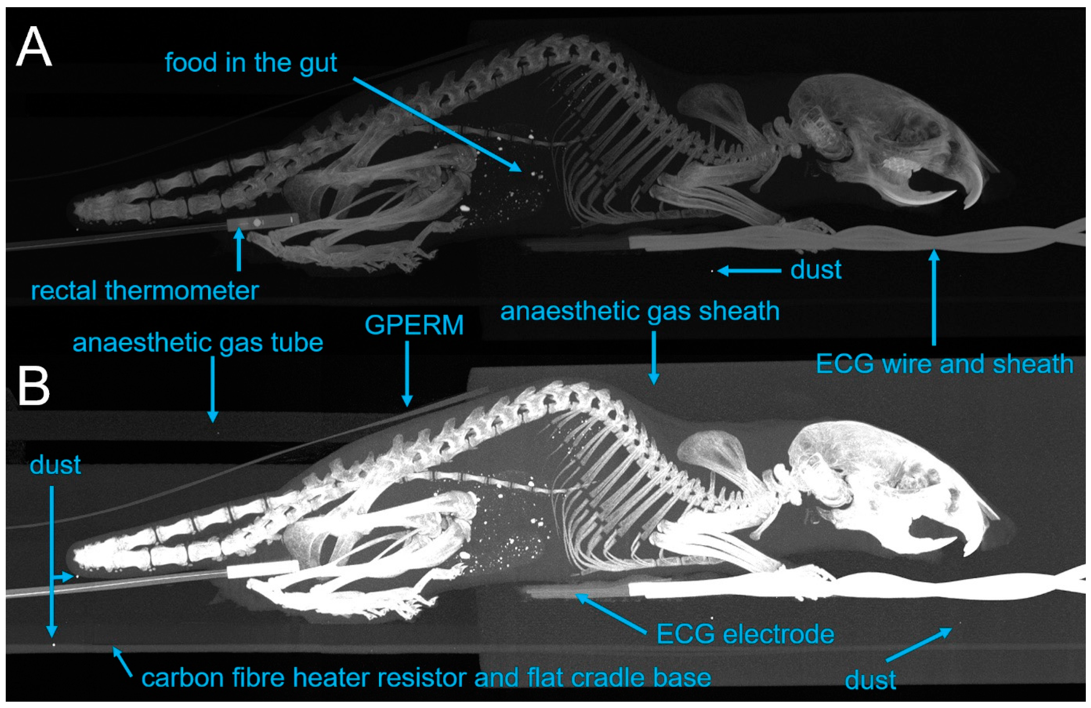 Tomography 07 00004 g010 Tomography 07 00004 g010