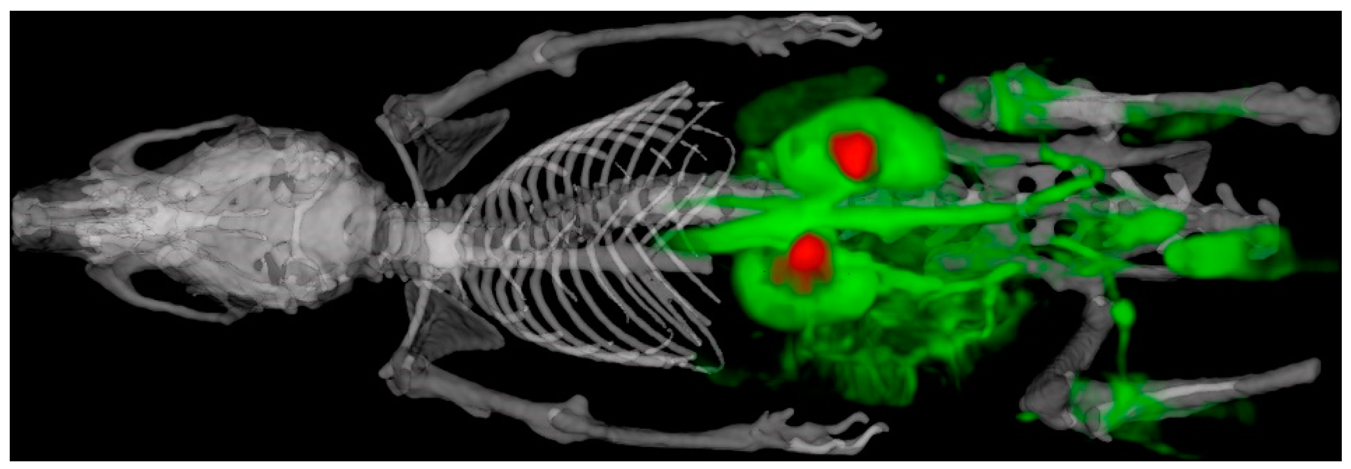 Tomography 07 00004 g011 Tomography 07 00004 g011