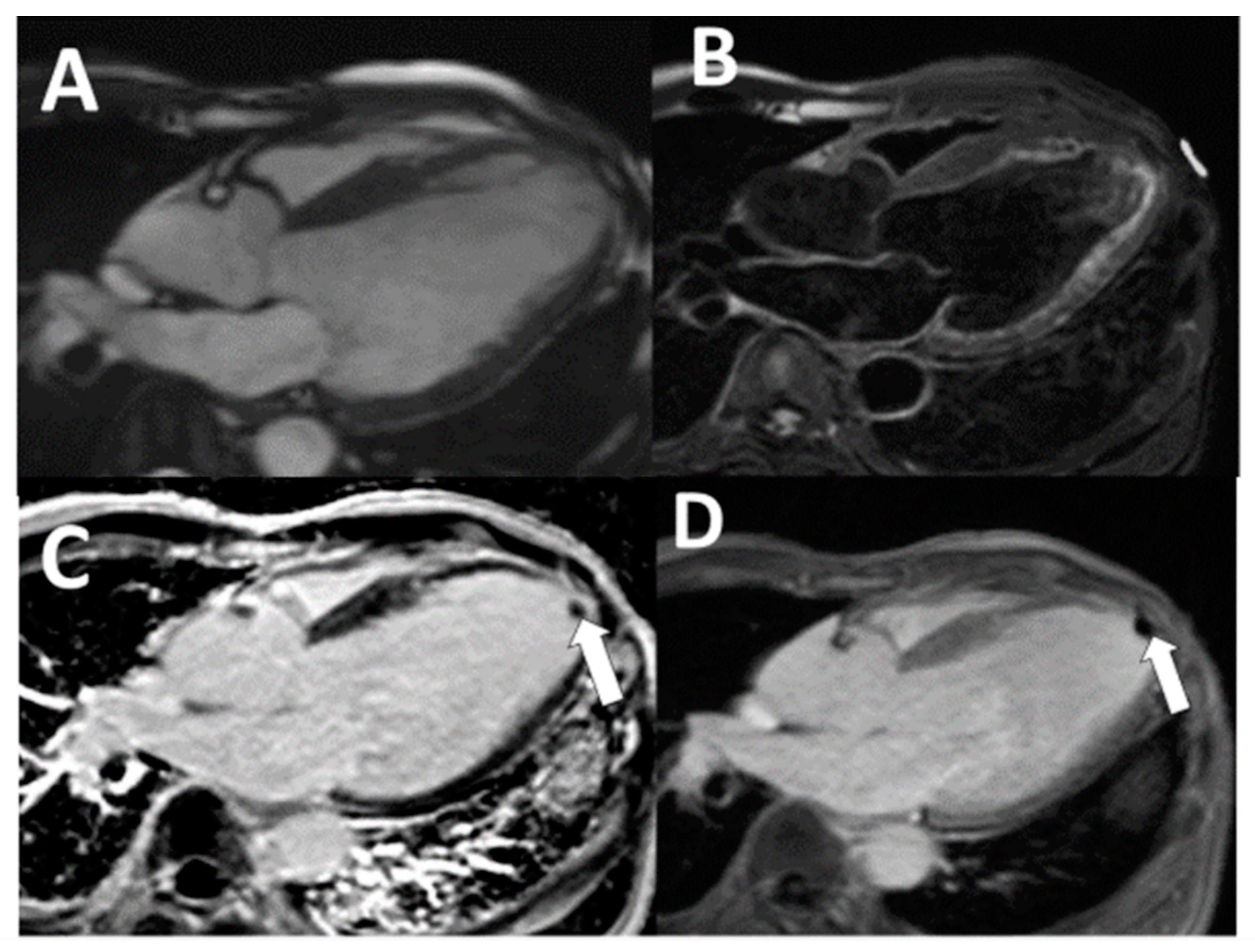 Tomography 07 00016 g002