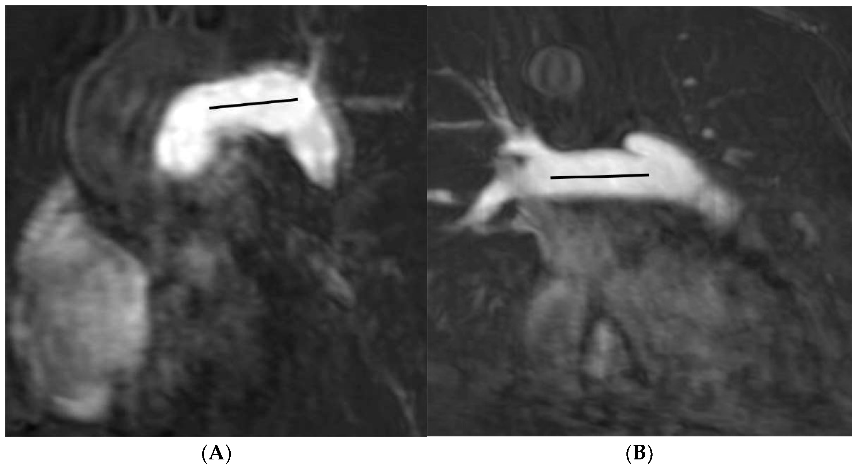Tomography 07 00036 g001