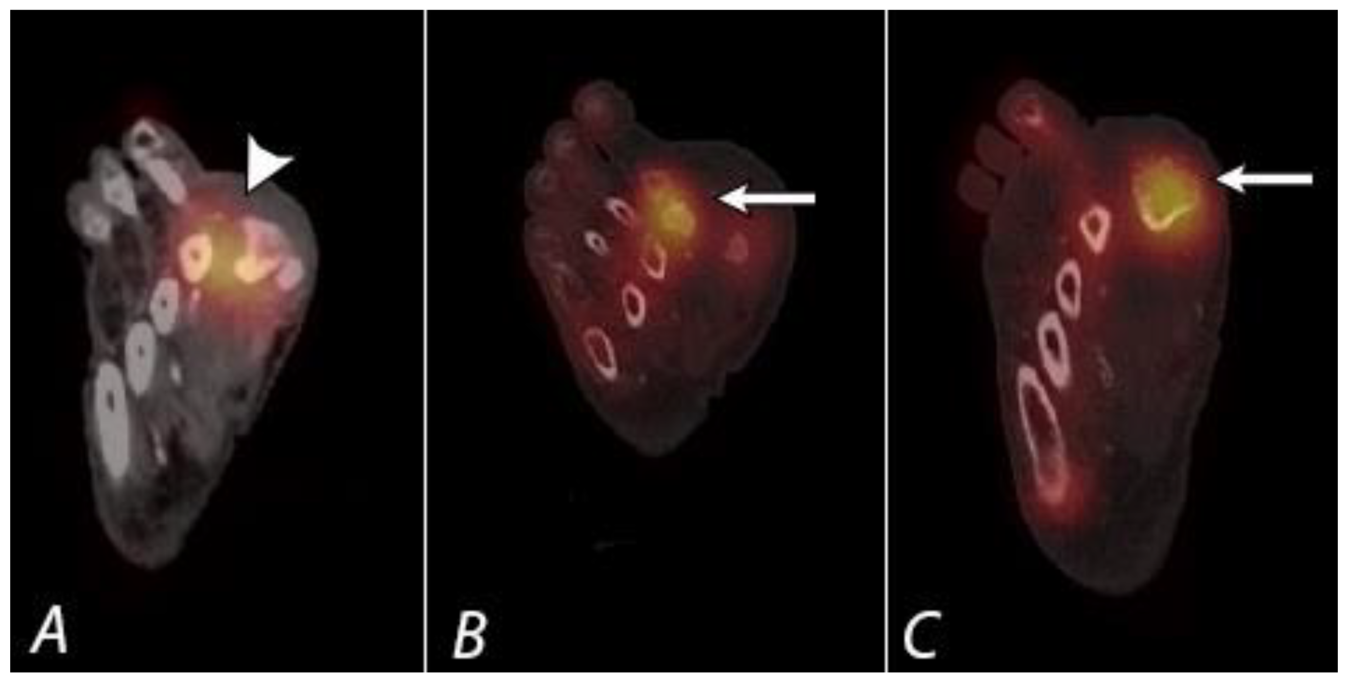 Tomography 07 00050 g012