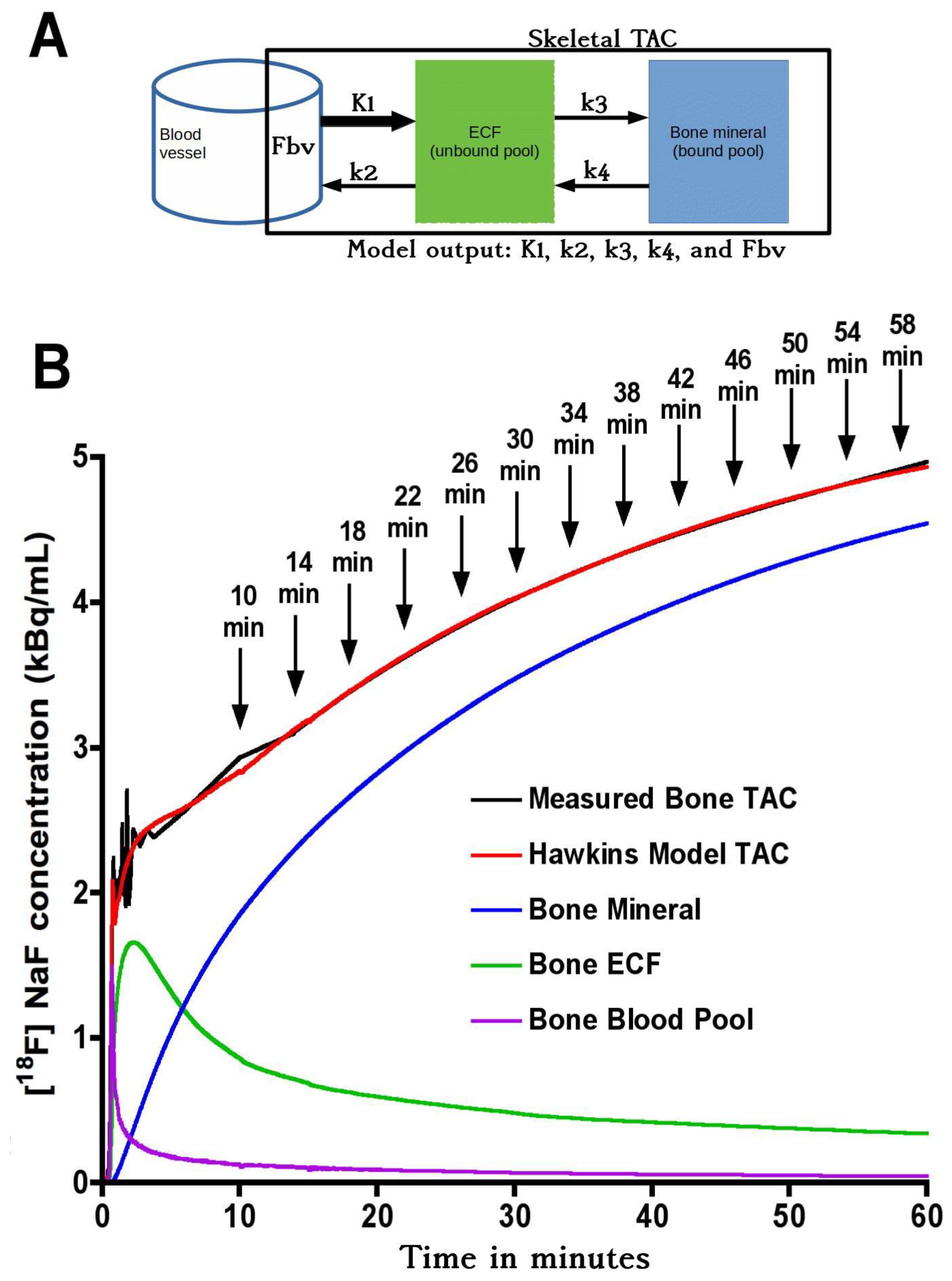 Tomography 07 00053 g001