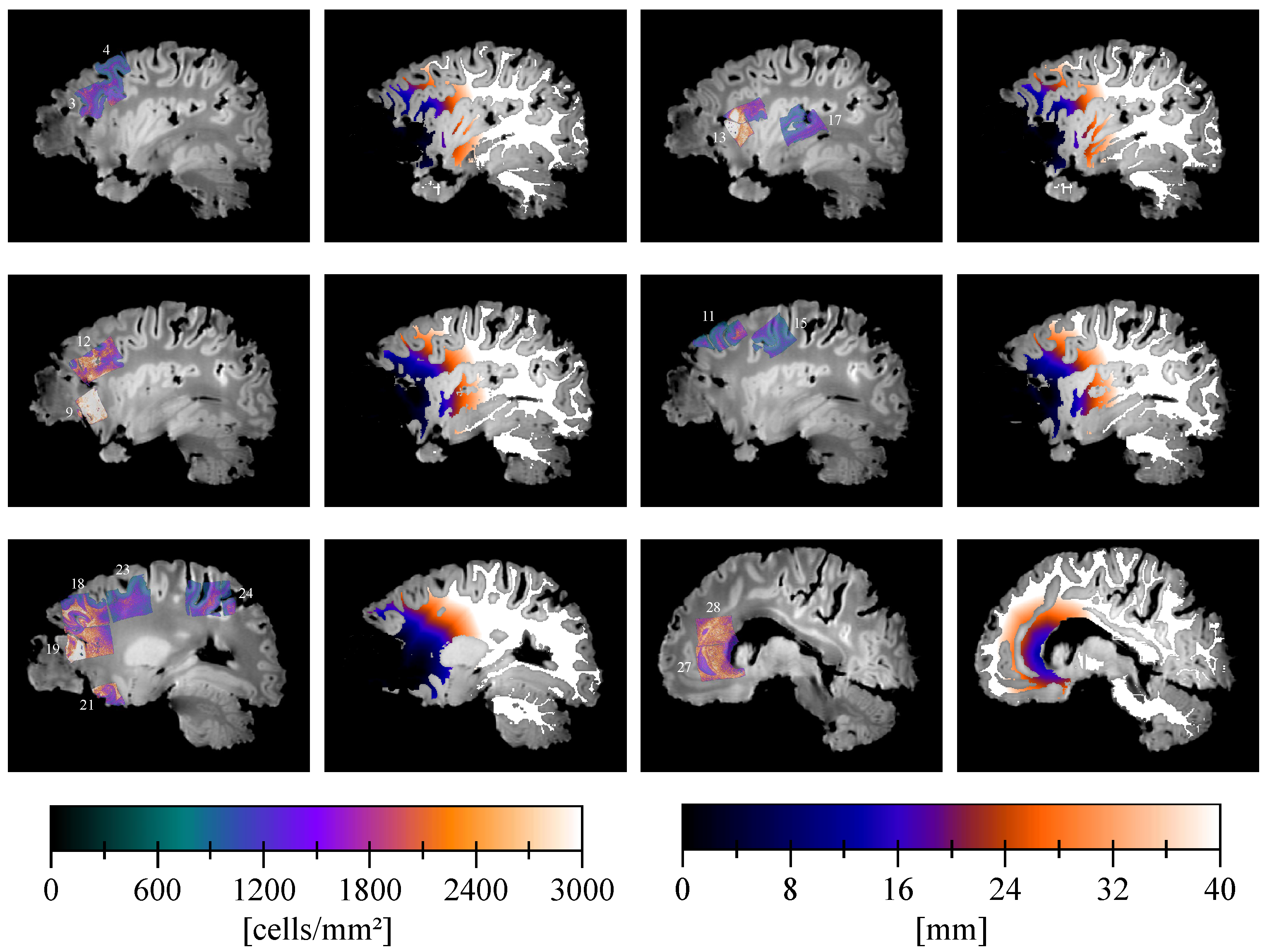 Tomography 07 00055 g004