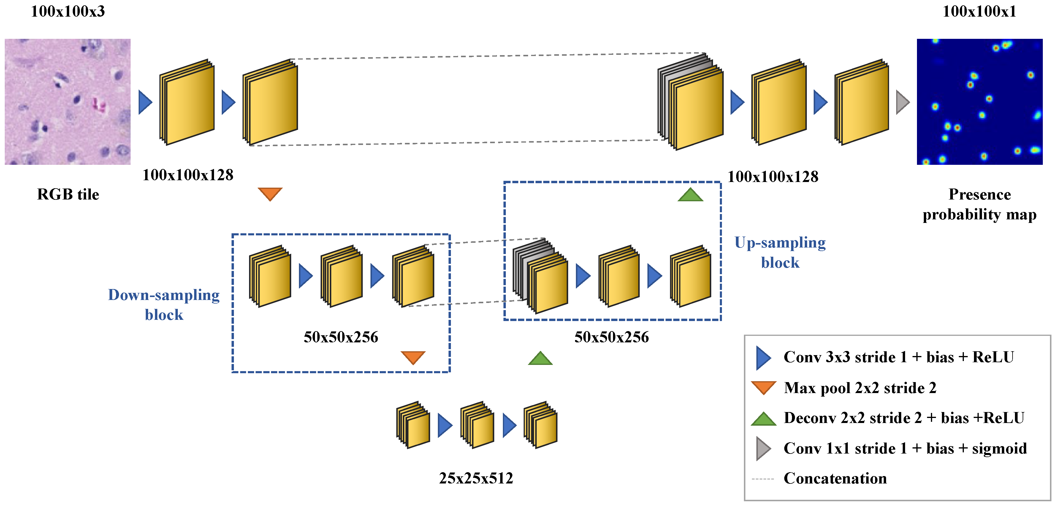 Tomography 07 00055 g0a2
