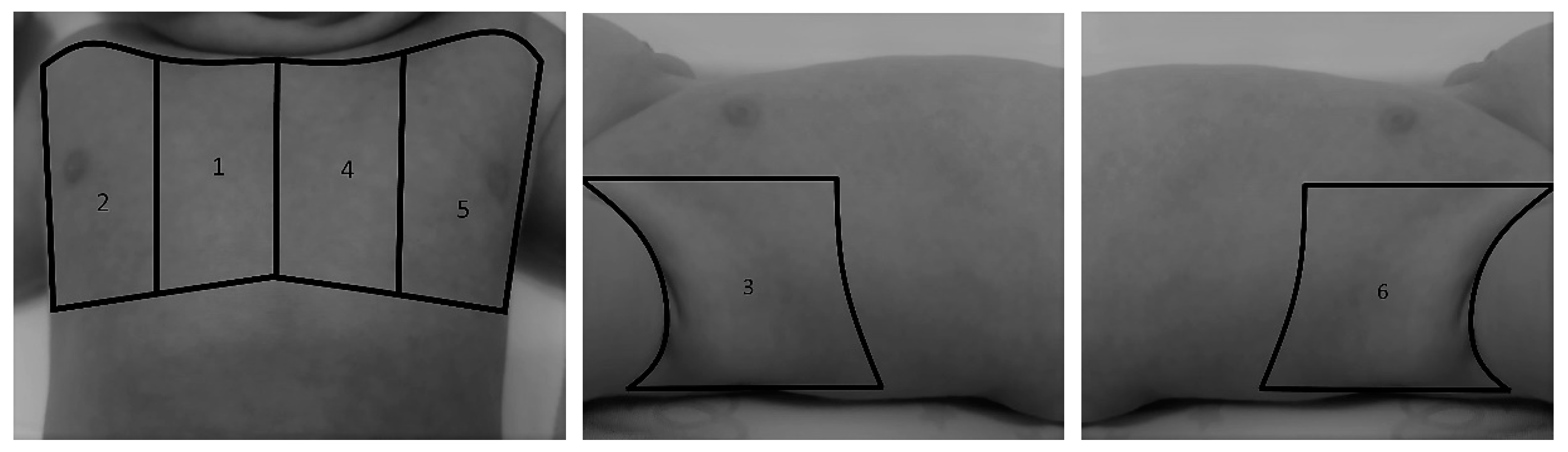 Tomography 08 00012 g001 Tomography 08 00012 g001