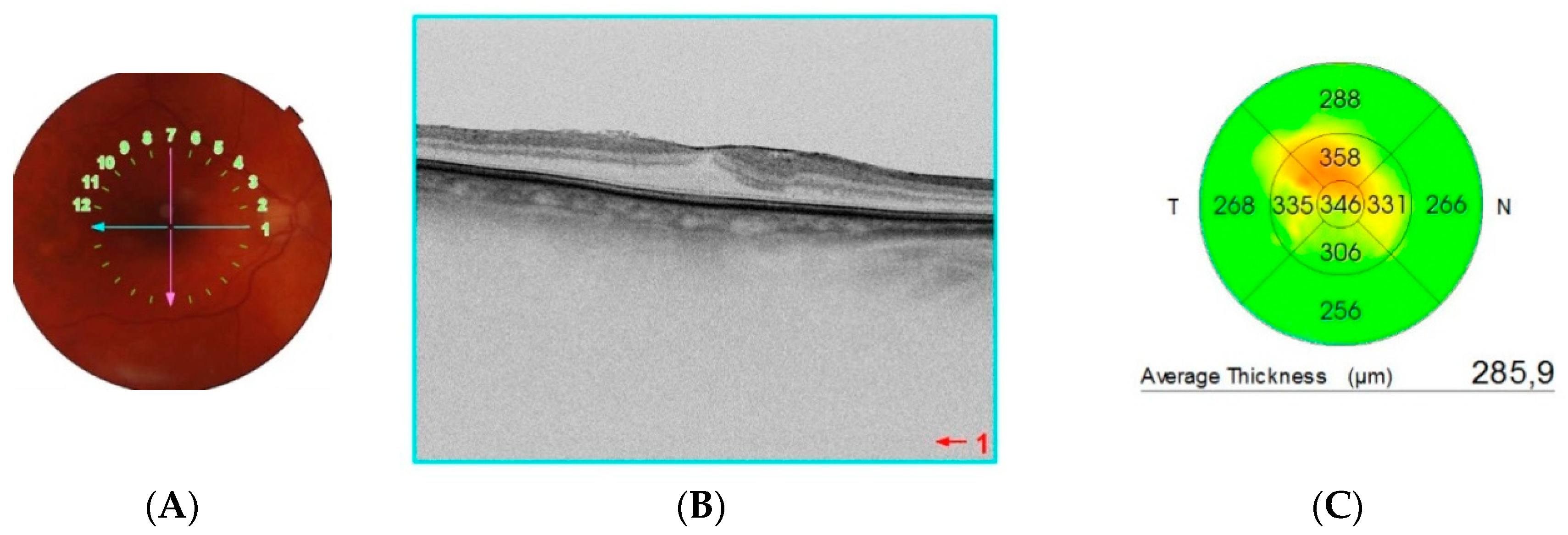 Tomography 08 00016 g001