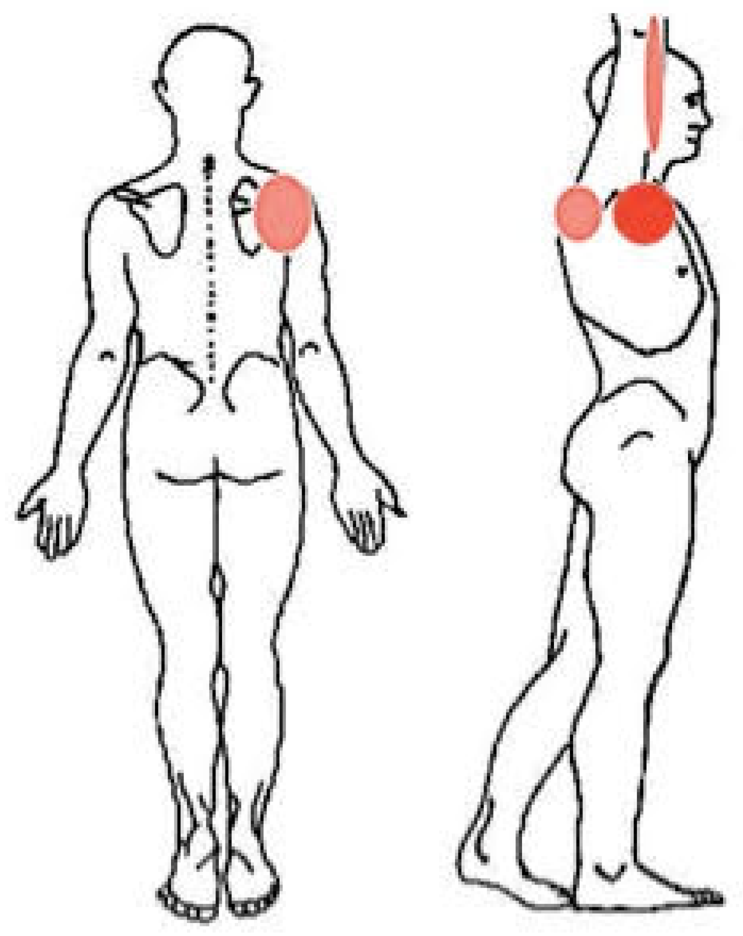 Tomography 08 00032 g002 Tomography 08 00032 g002