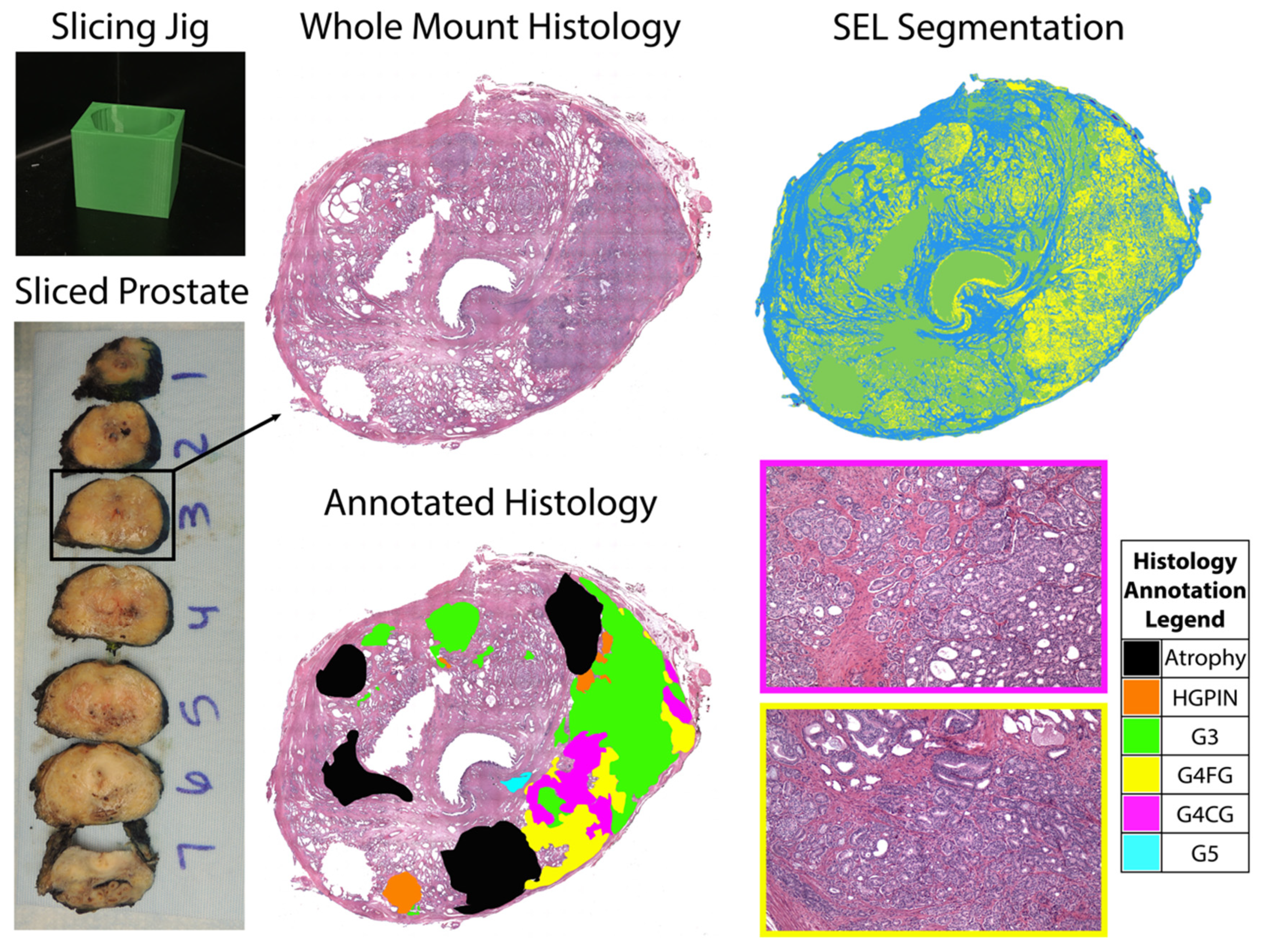 Tomography 08 00053 g001