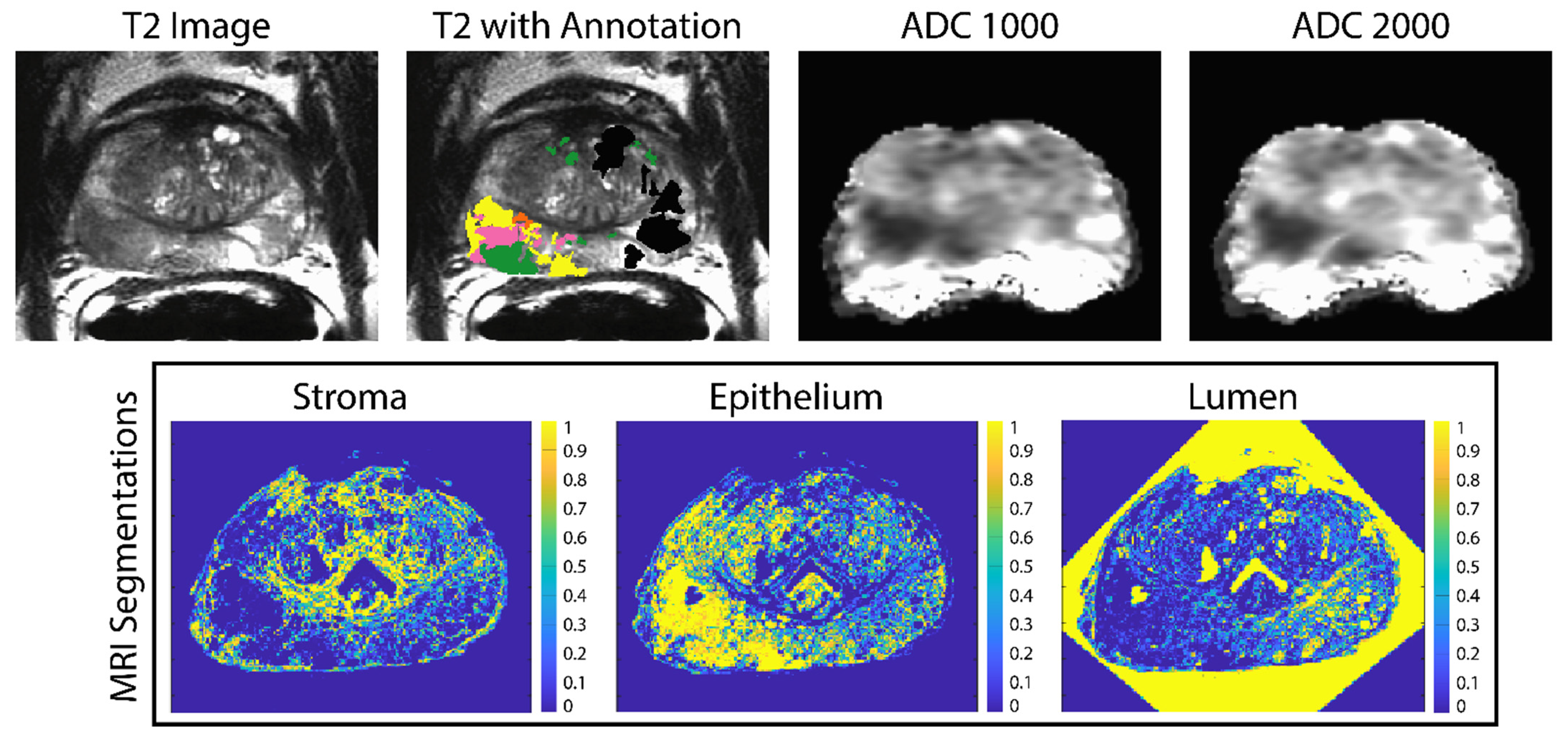 Tomography 08 00053 g002