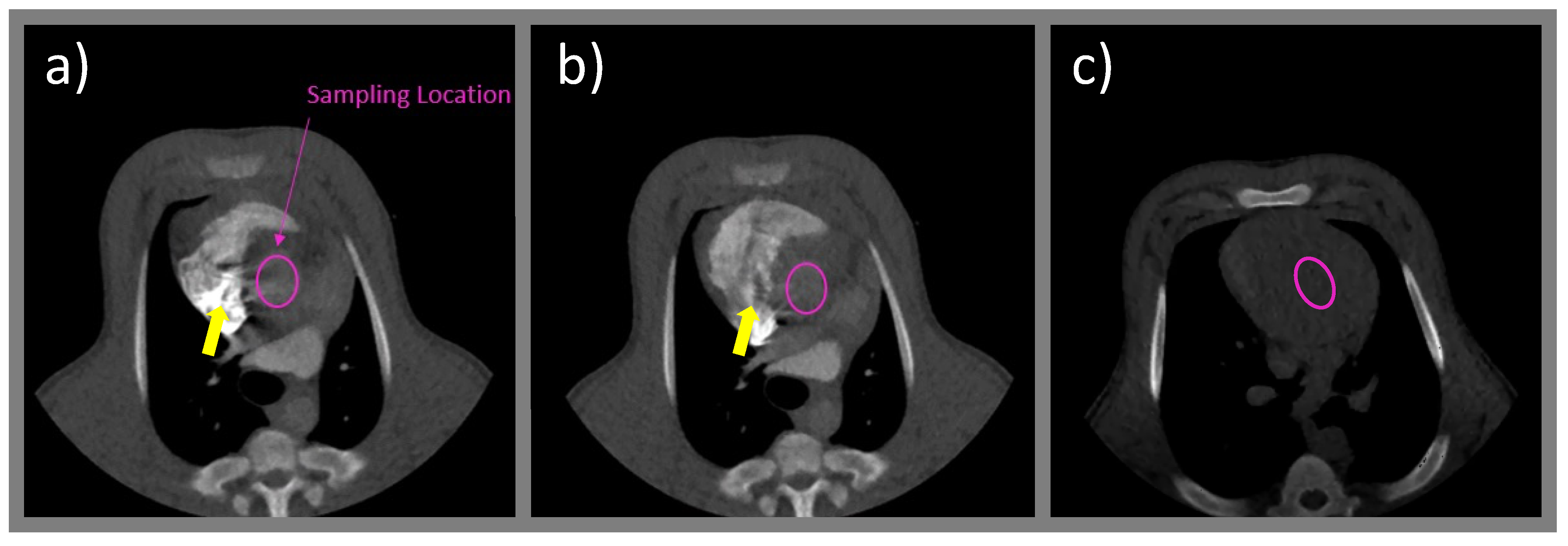 Tomography 08 00092 g002