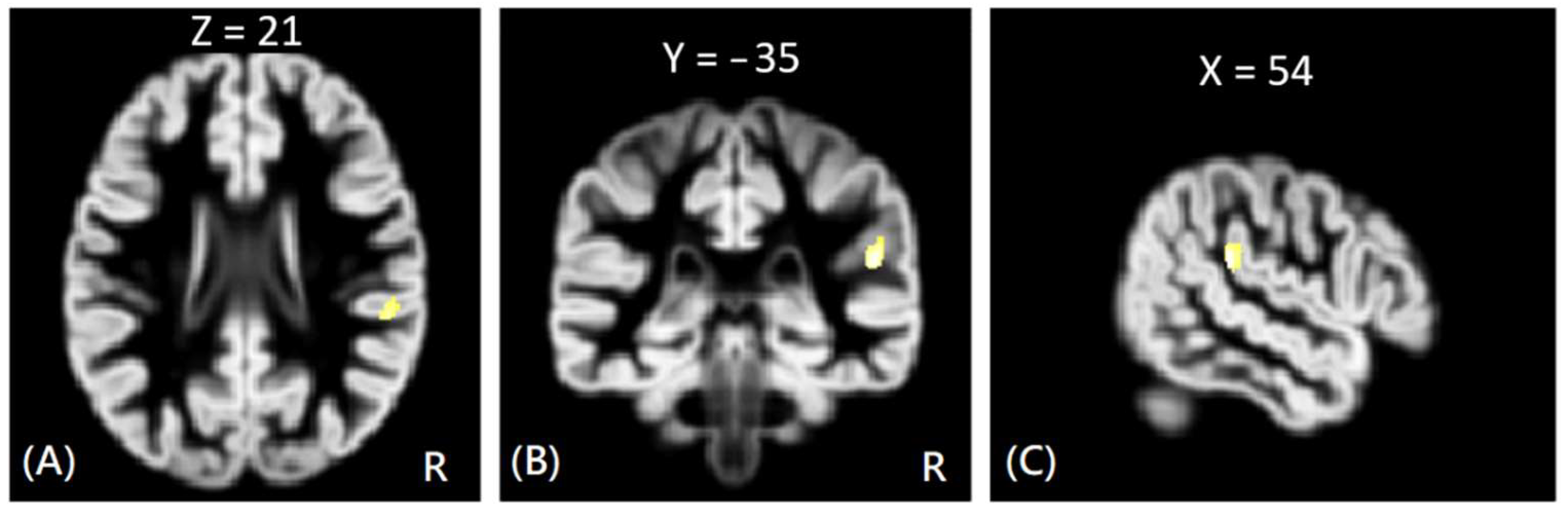 Tomography 08 00121 g001 550