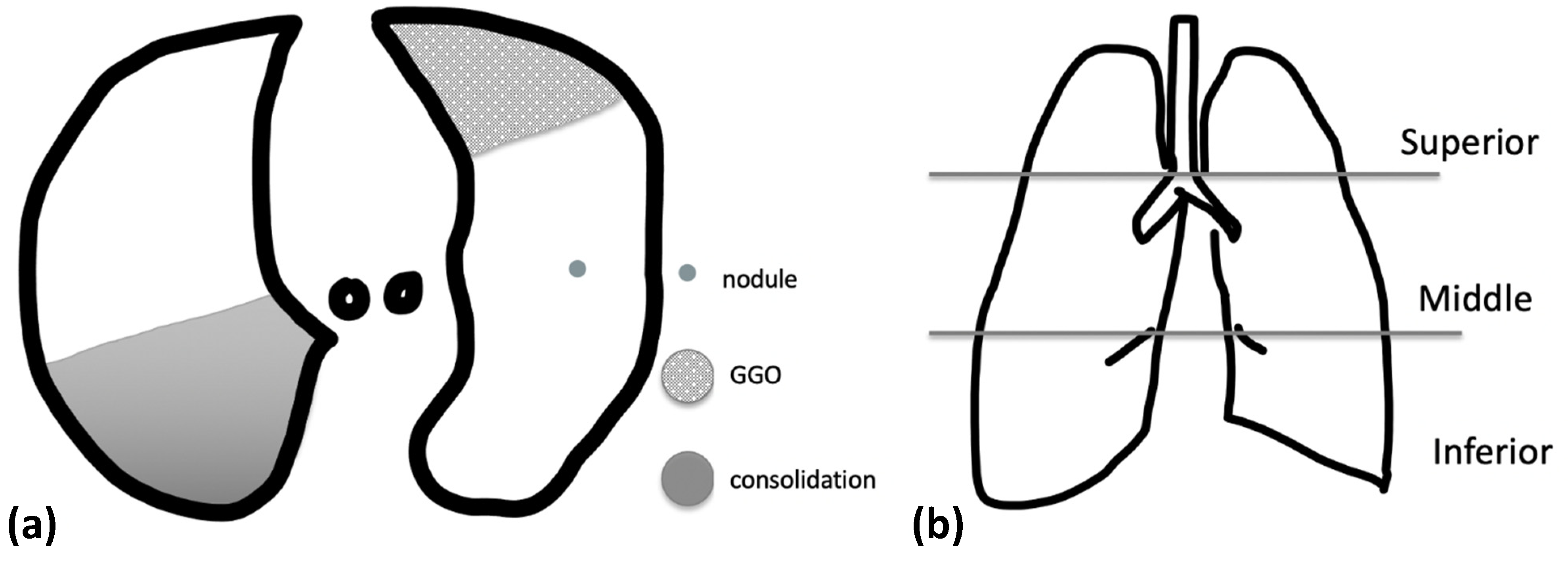 Tomography 08 00126 g001 Tomography 08 00126 g001