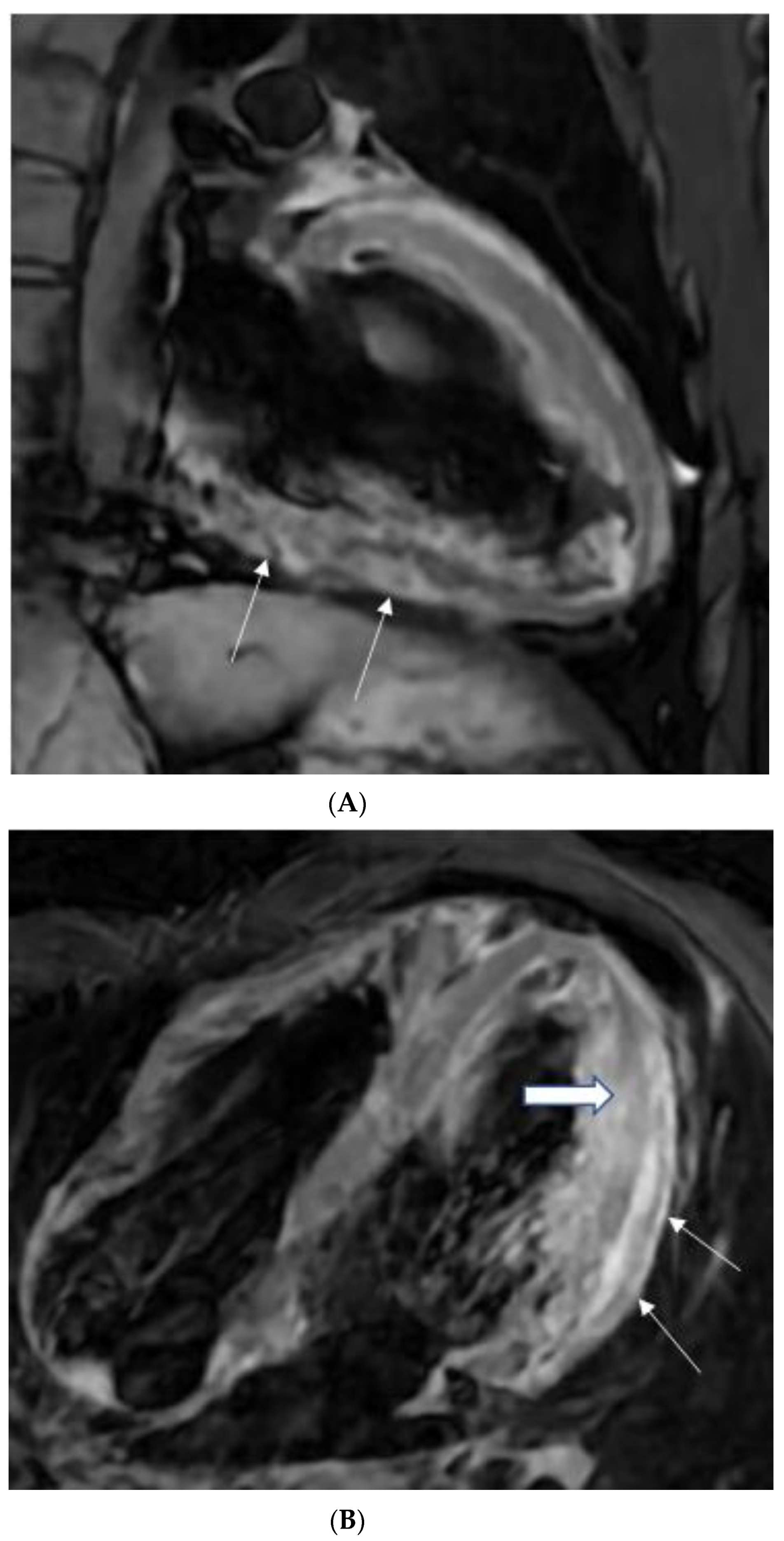 Tomography 08 00137 g001