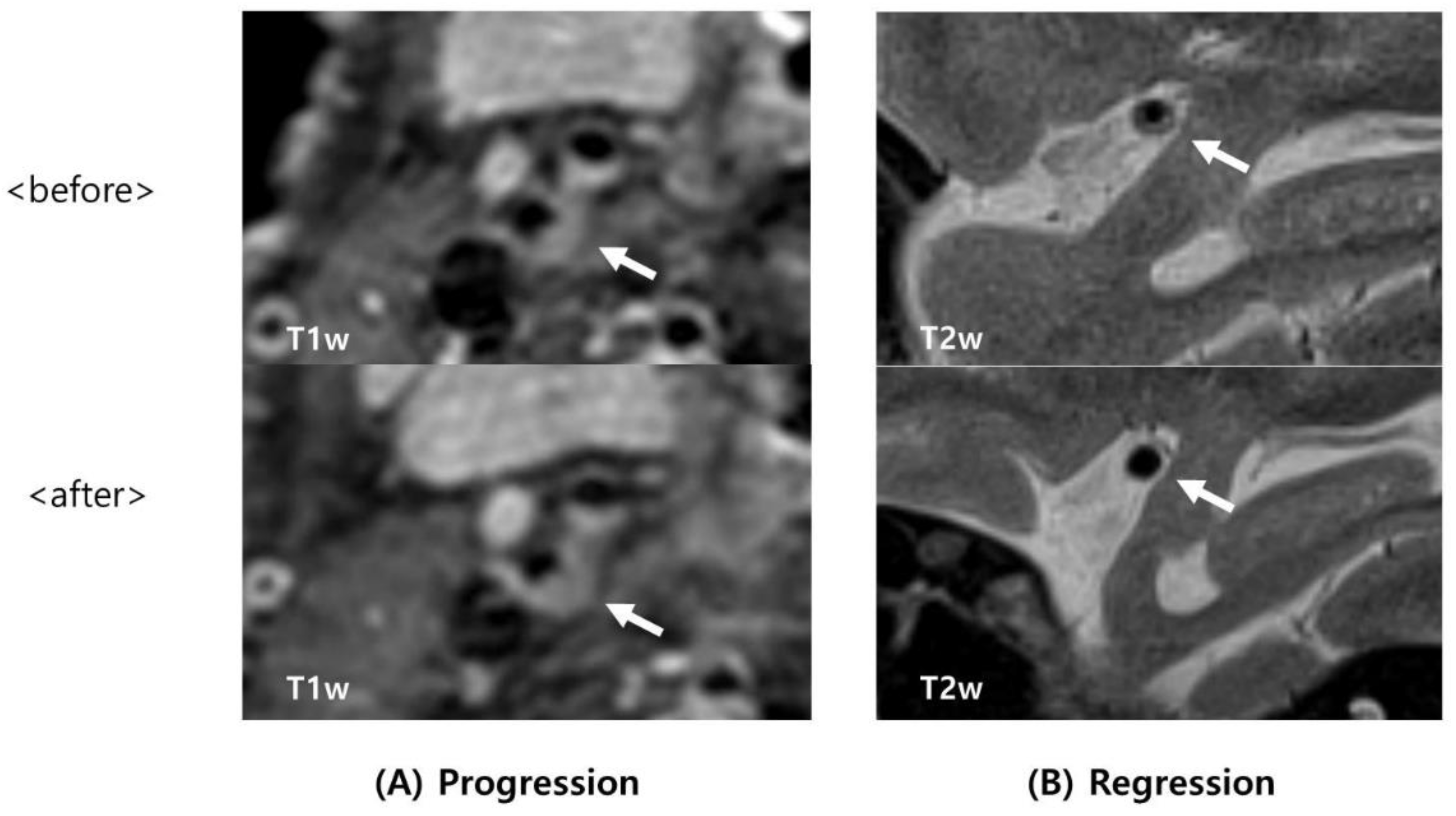 Tomography 08 00141 g001 550