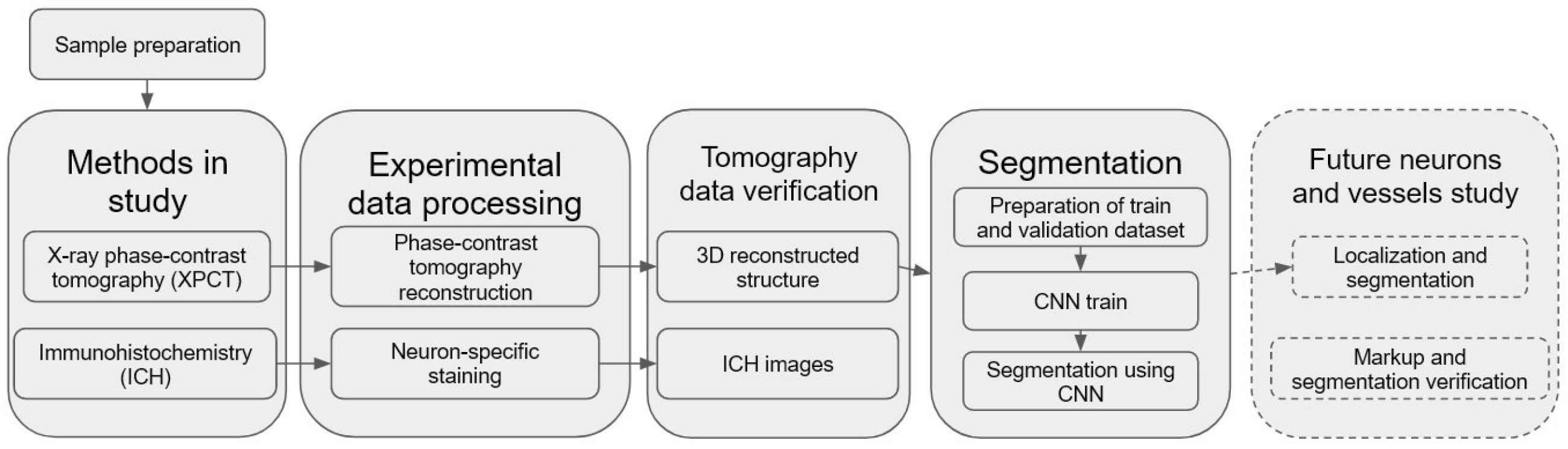 Tomography 08 00156 g001 550