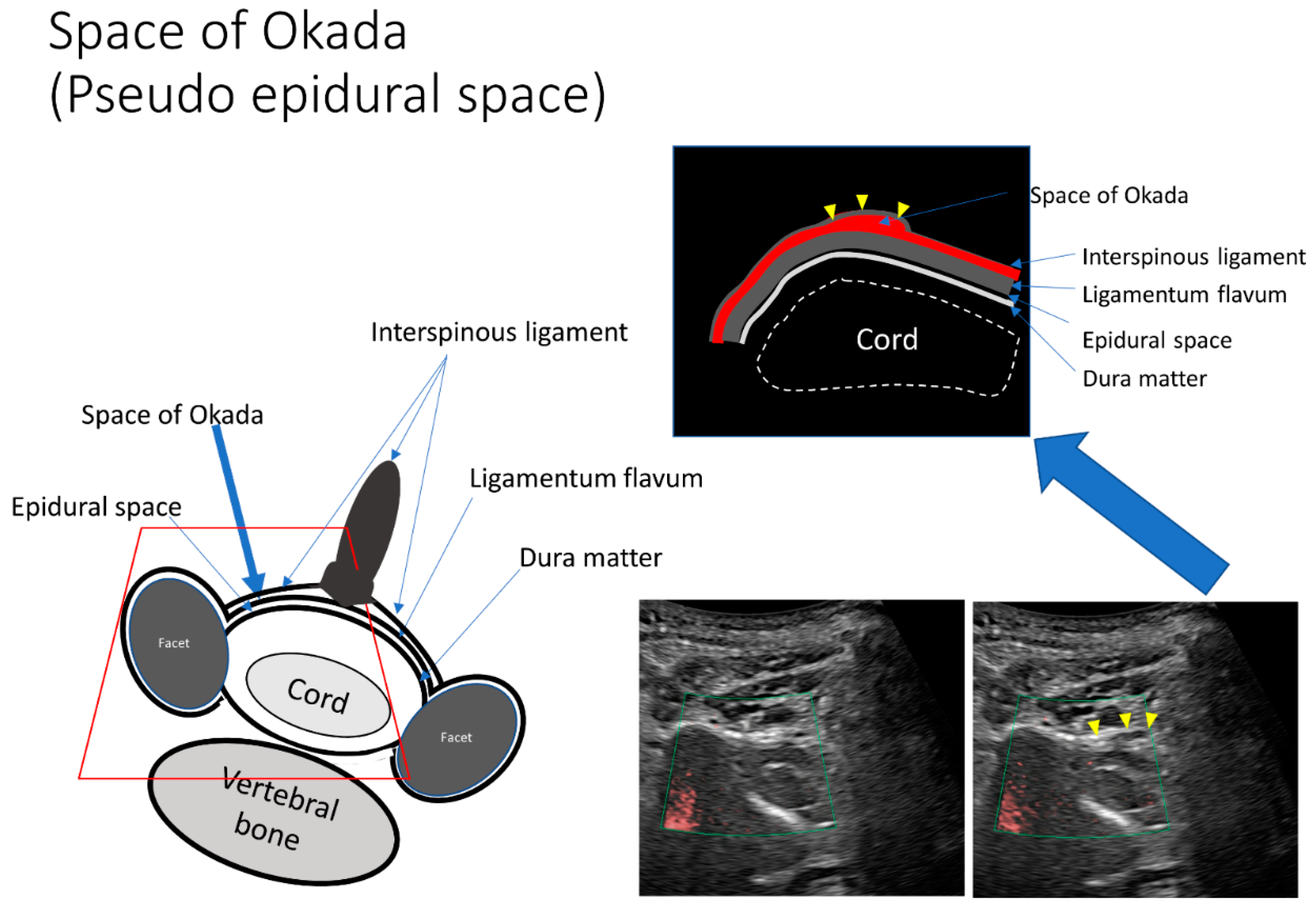 Tomography 08 00157 g005