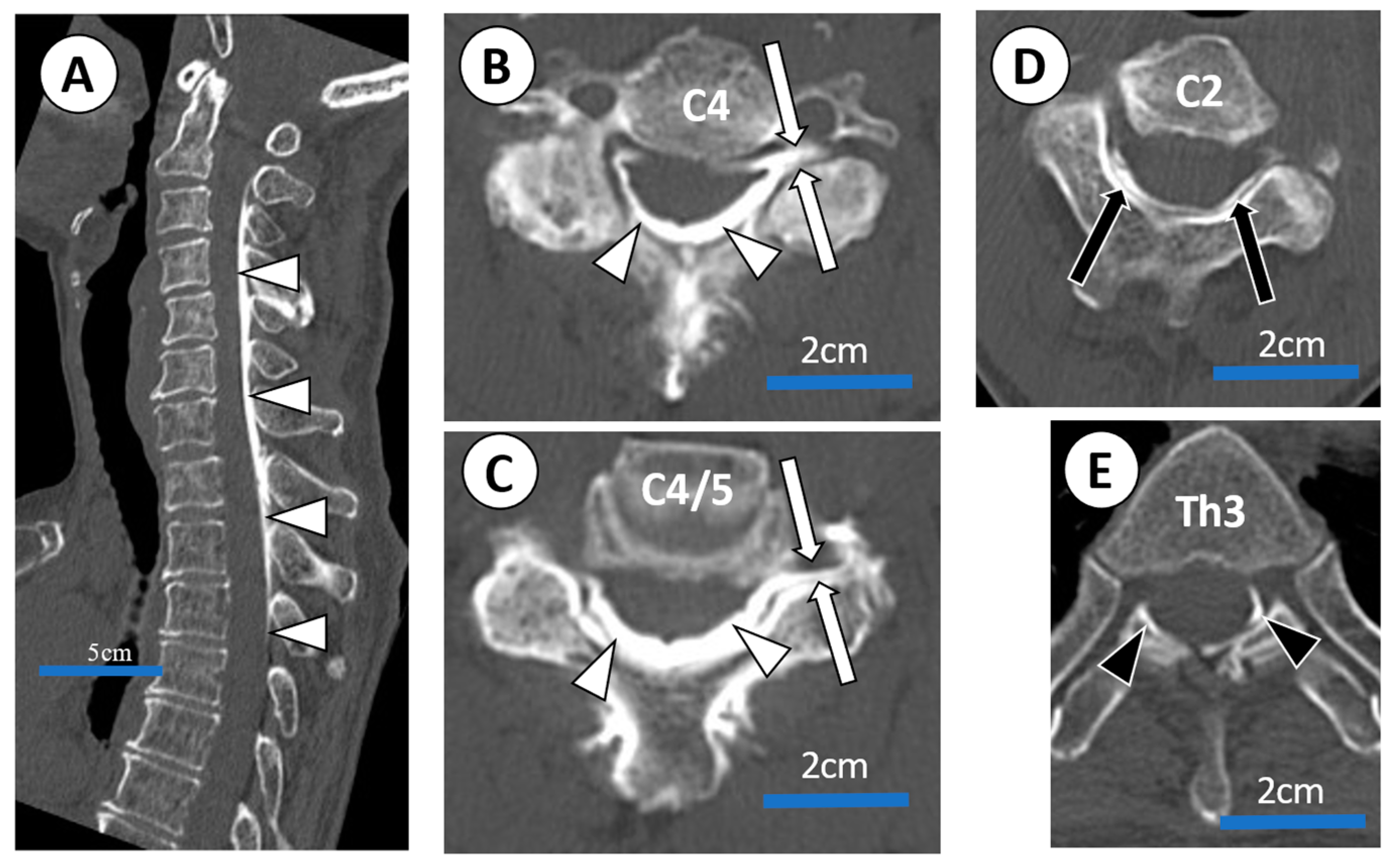 Tomography 08 00157 g006