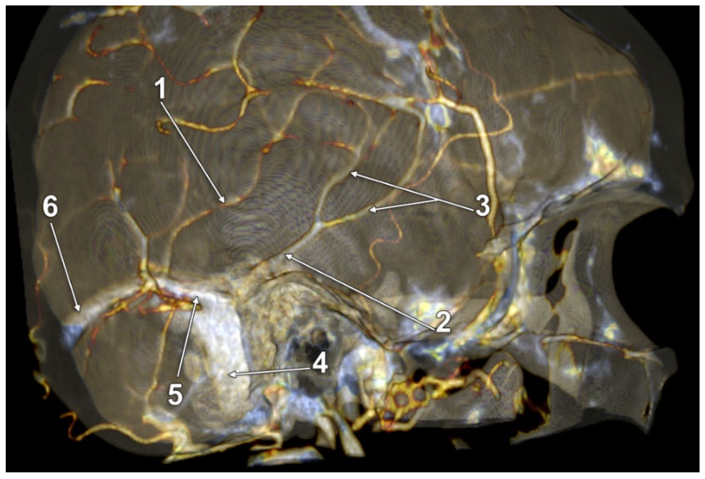 Tomography 08 00183 g008 550