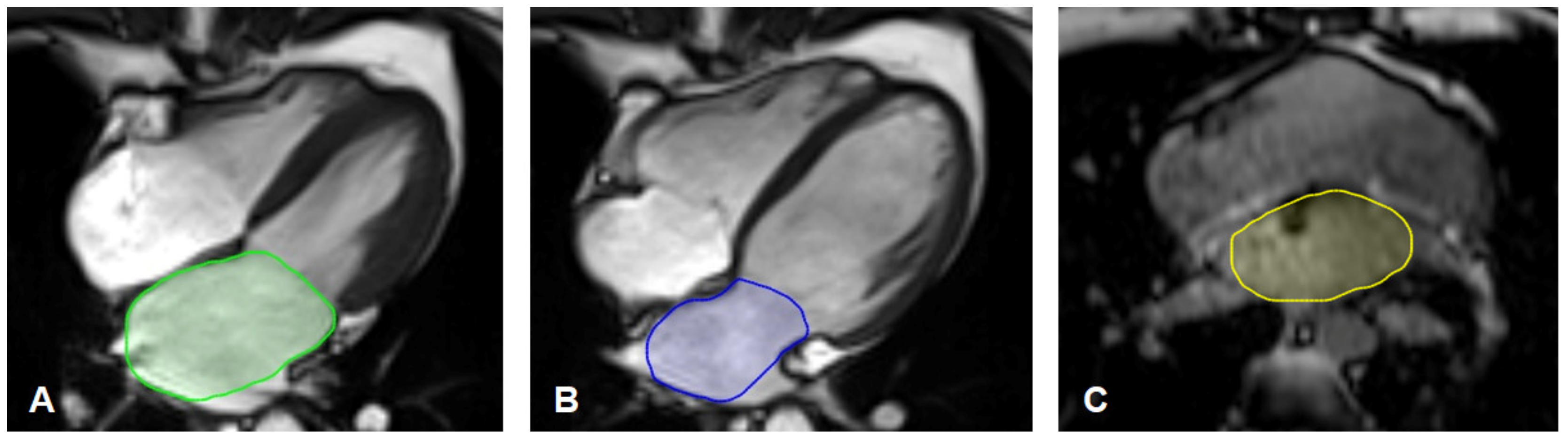 Tomography 08 00185 g001