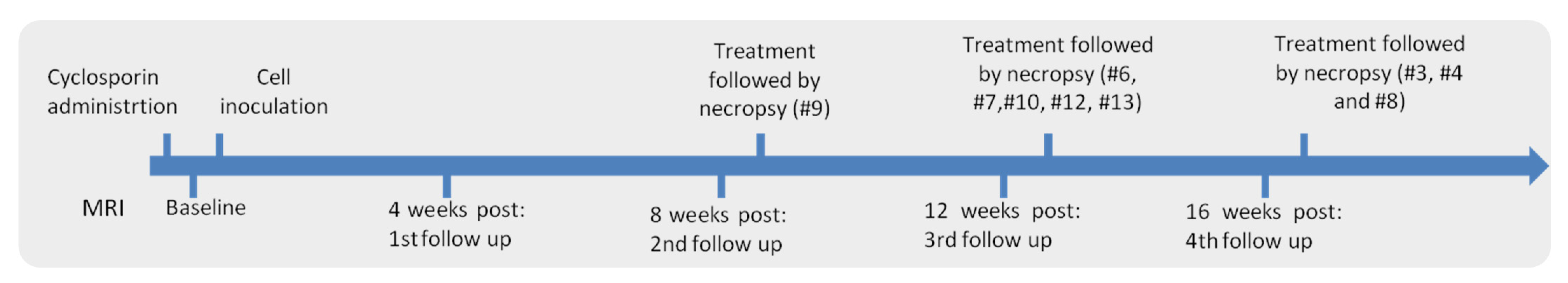 Tomography 08 00187 g002 Tomography 08 00187 g002