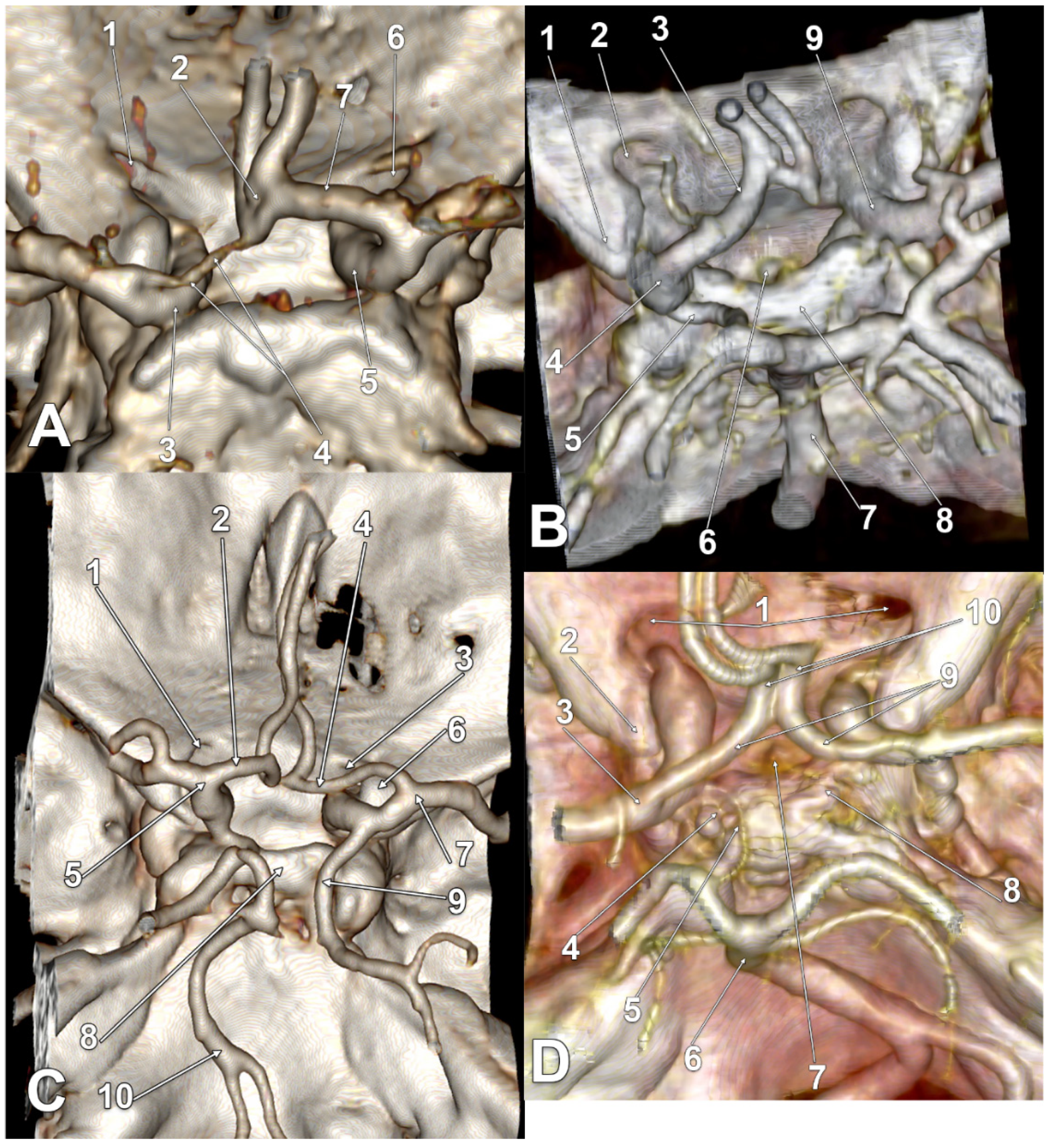 Tomography 08 00188 g002
