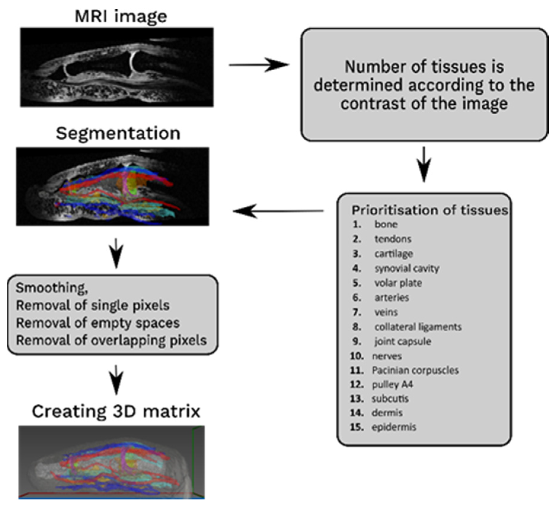 Tomography 08 00196 g001