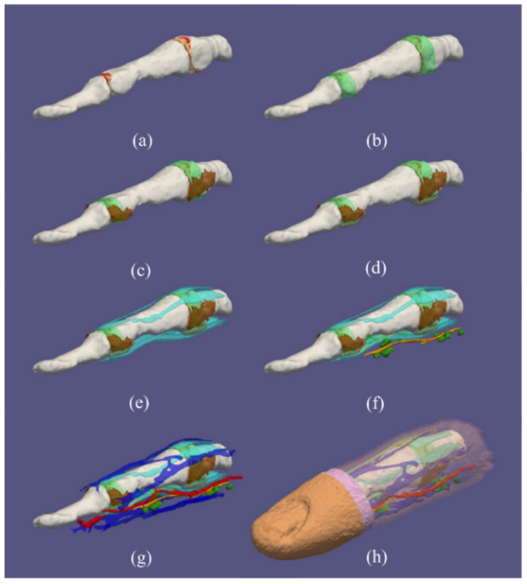 Tomography 08 00196 g002