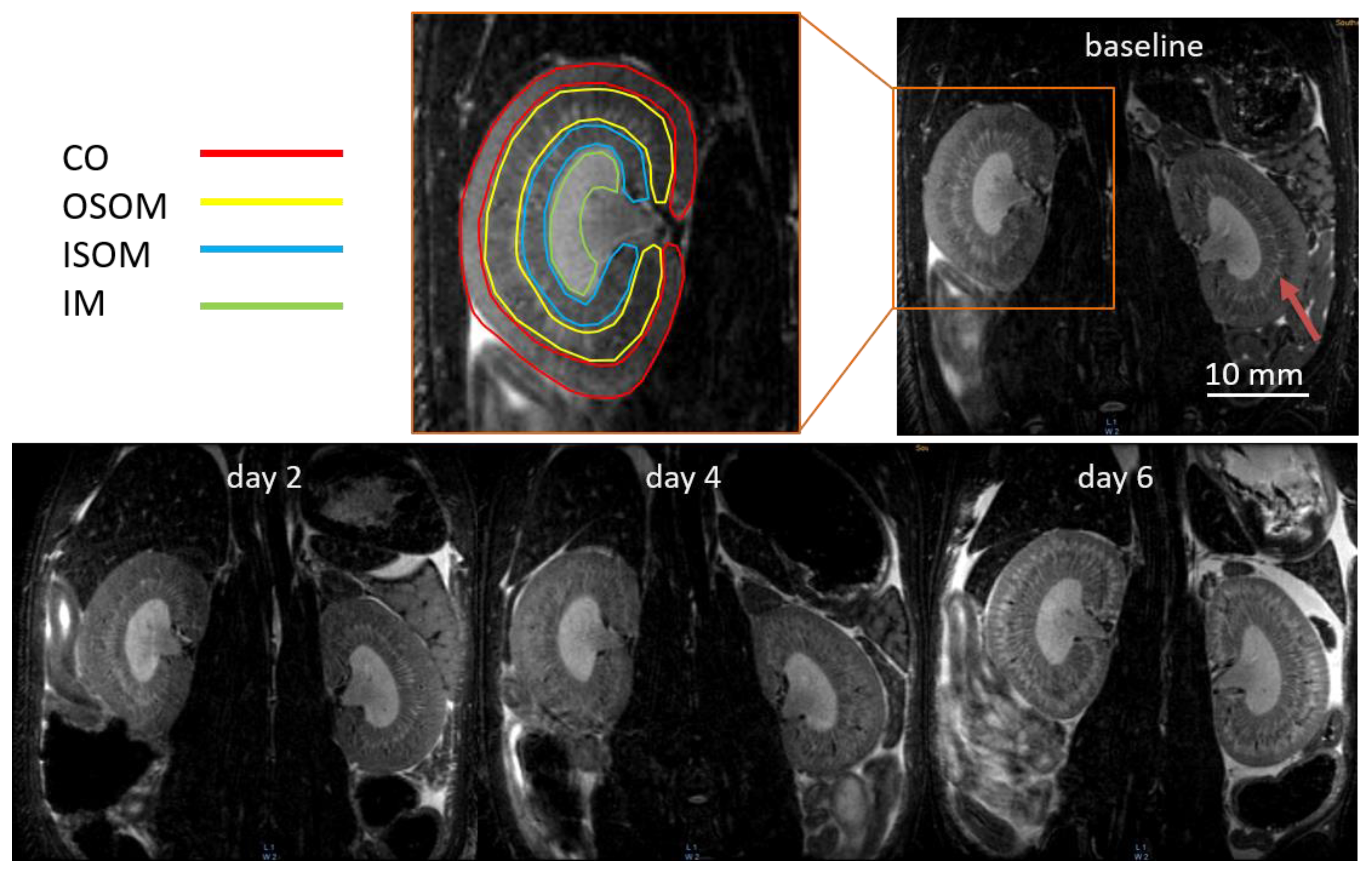 Tomography 08 00243 g002 Tomography 08 00243 g002