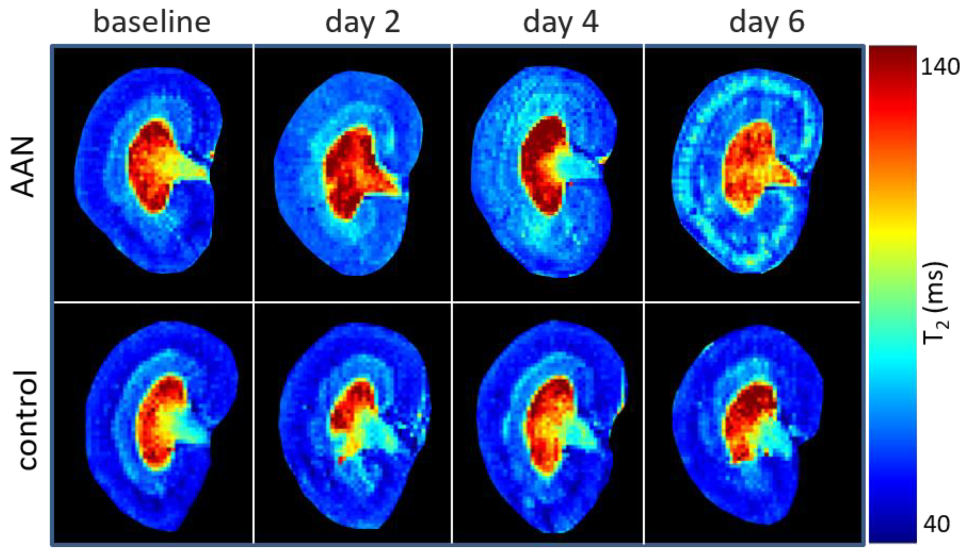 Tomography 08 00243 g003 Tomography 08 00243 g003