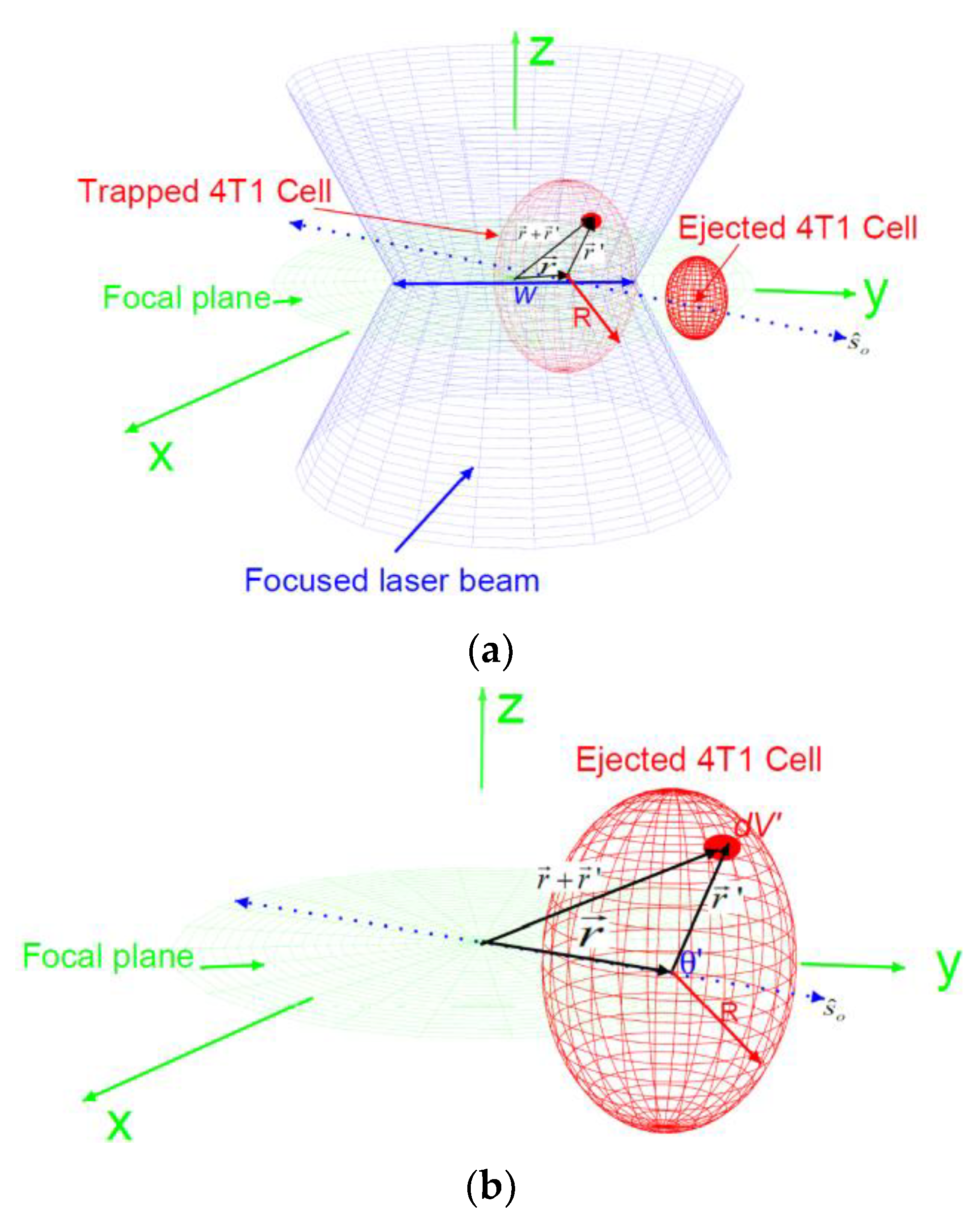 Tomography 09 00007 g002 Tomography 09 00007 g002