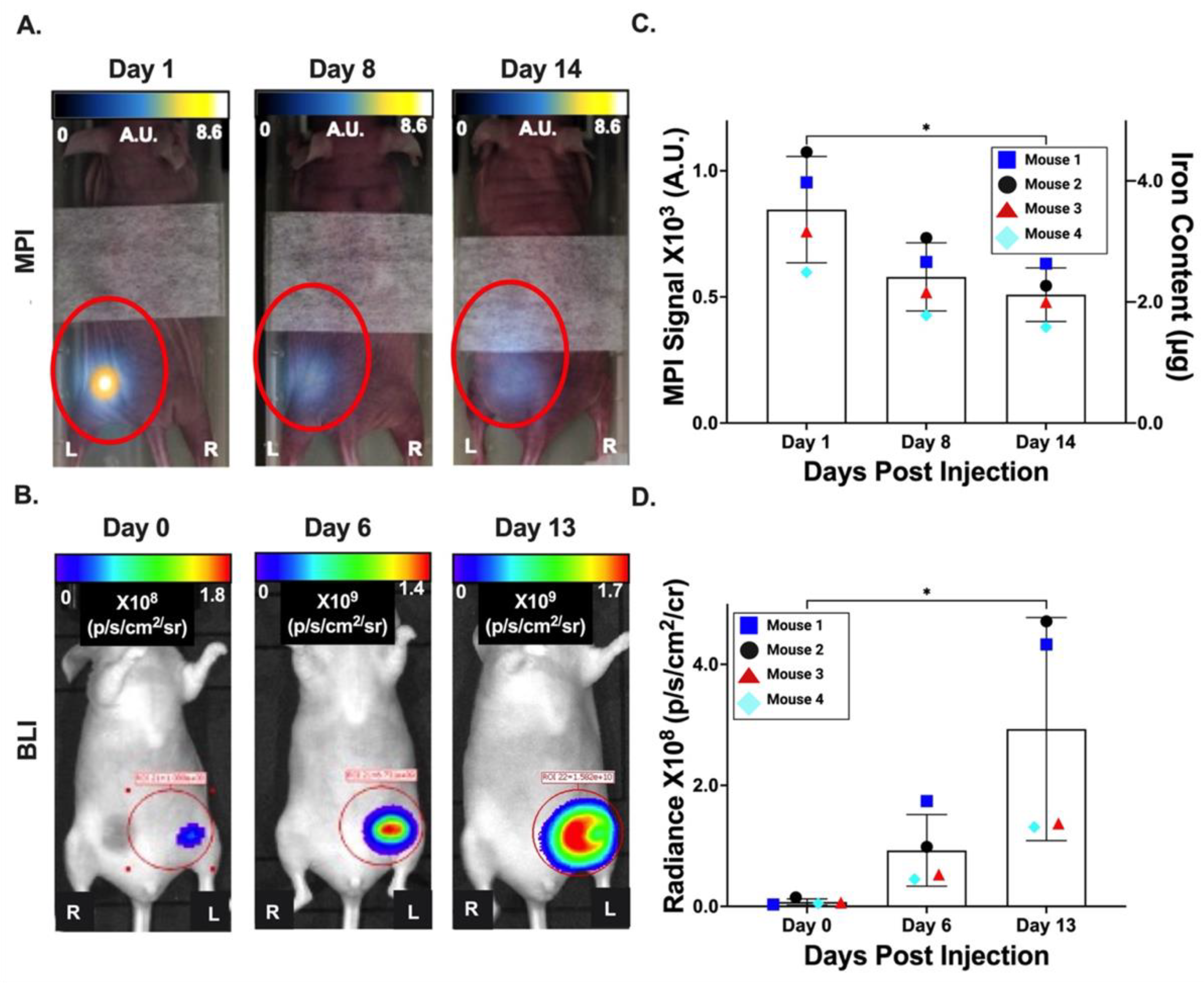 Tomography 09 00016 g004