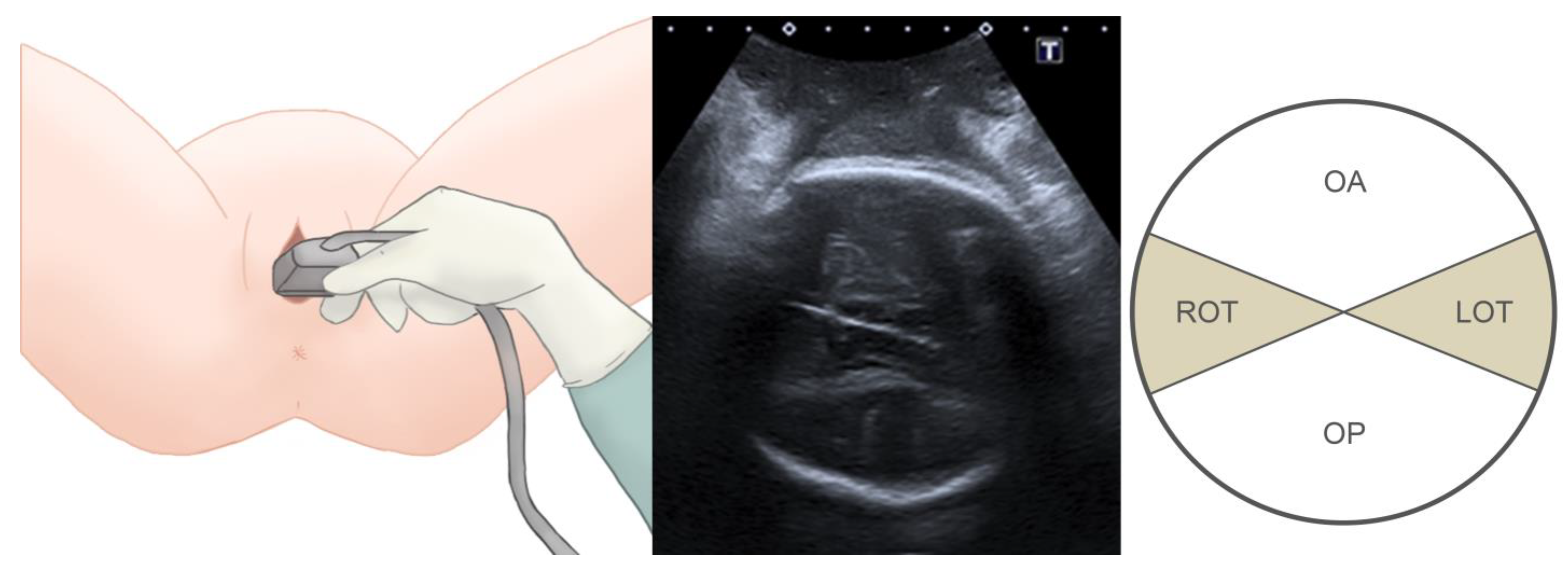 Tomography 09 00019 g002 Tomography 09 00019 g002