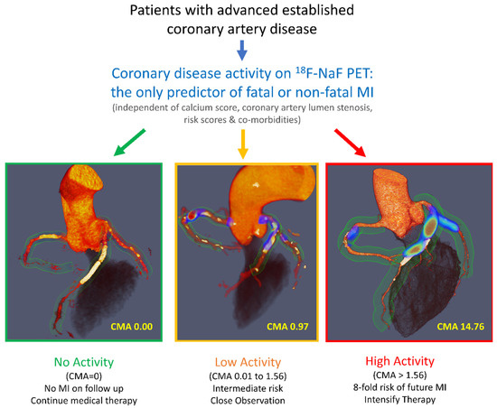 Advances in the Assessment of Coronary Artery Disease Activity with PET ...