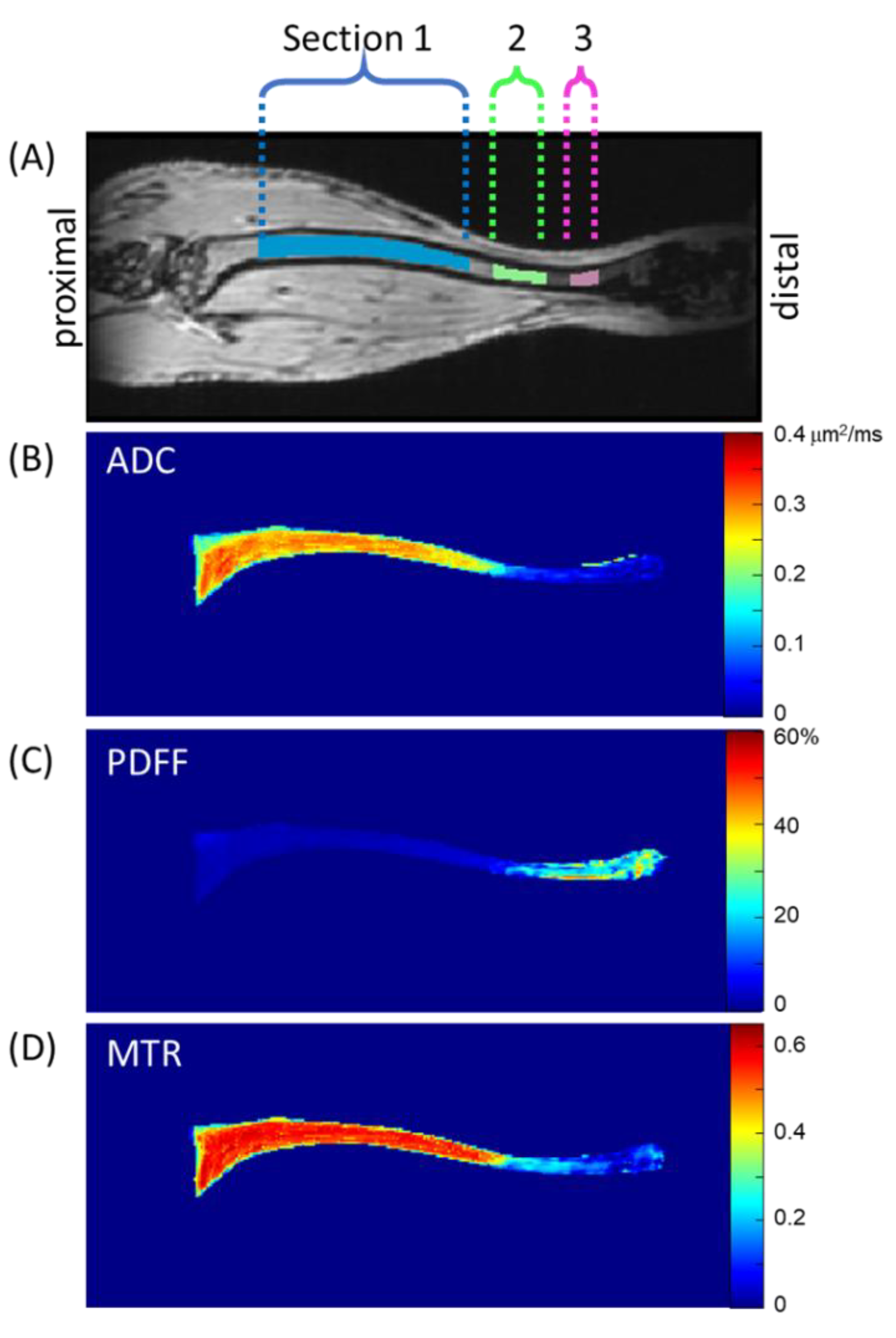 Tomography 09 00045 g001