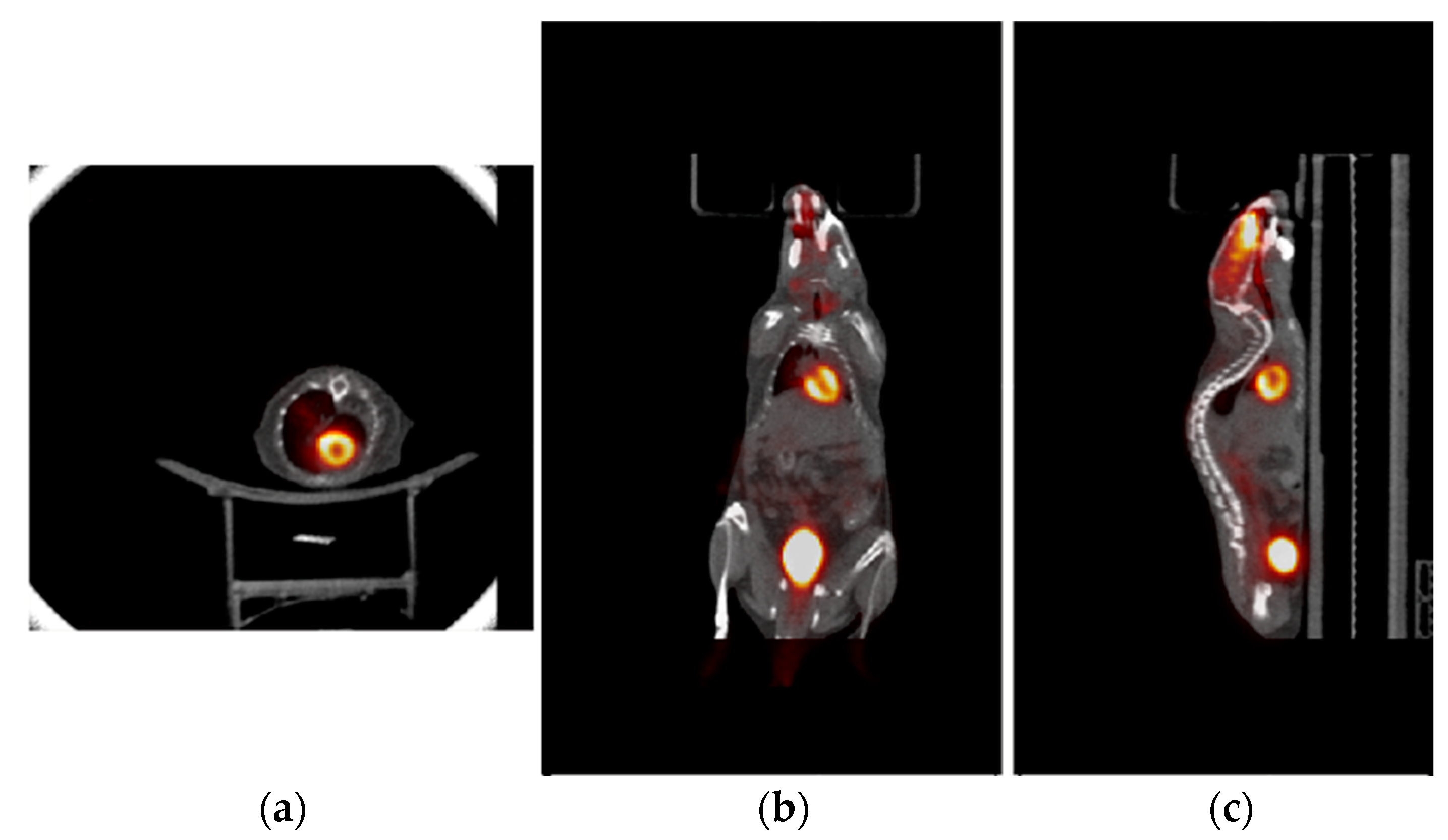 Tomography 09 00046 g008 Tomography 09 00046 g008