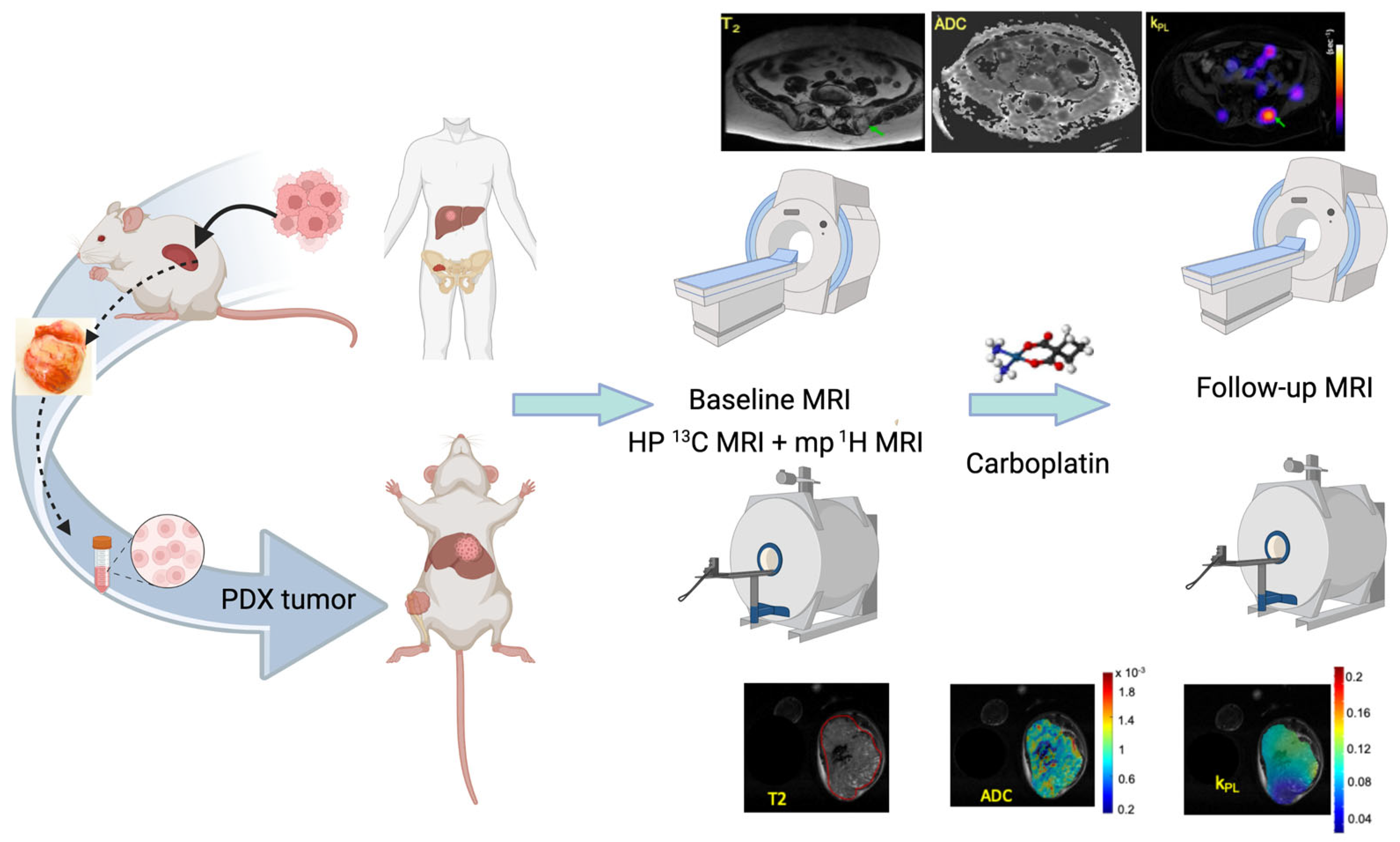 Tomography 09 00053 g001 Tomography 09 00053 g001