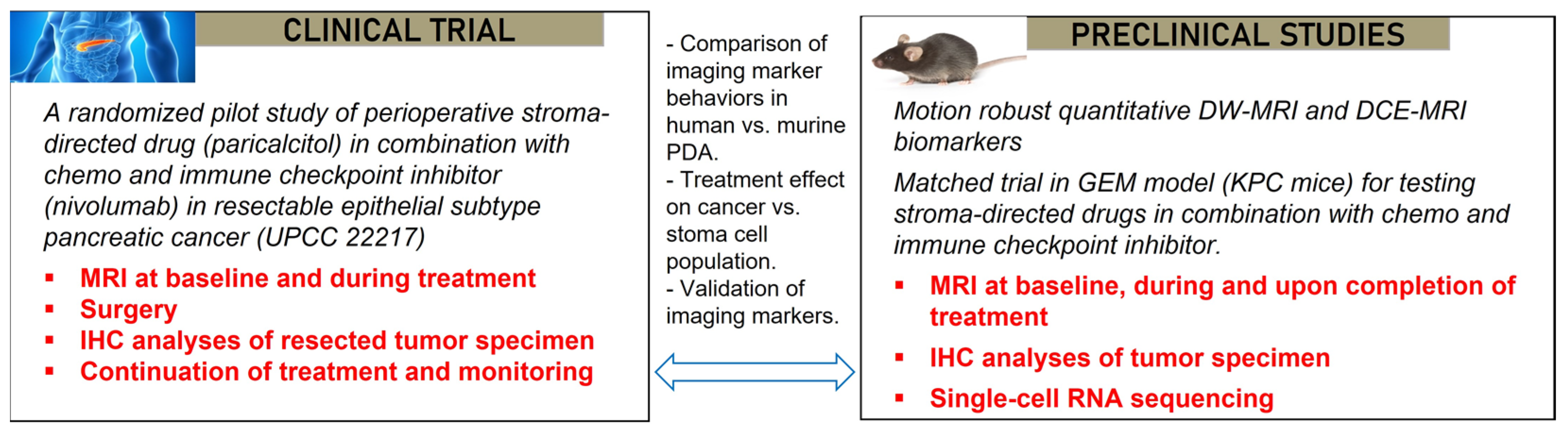 Tomography 09 00053 g005 Tomography 09 00053 g005