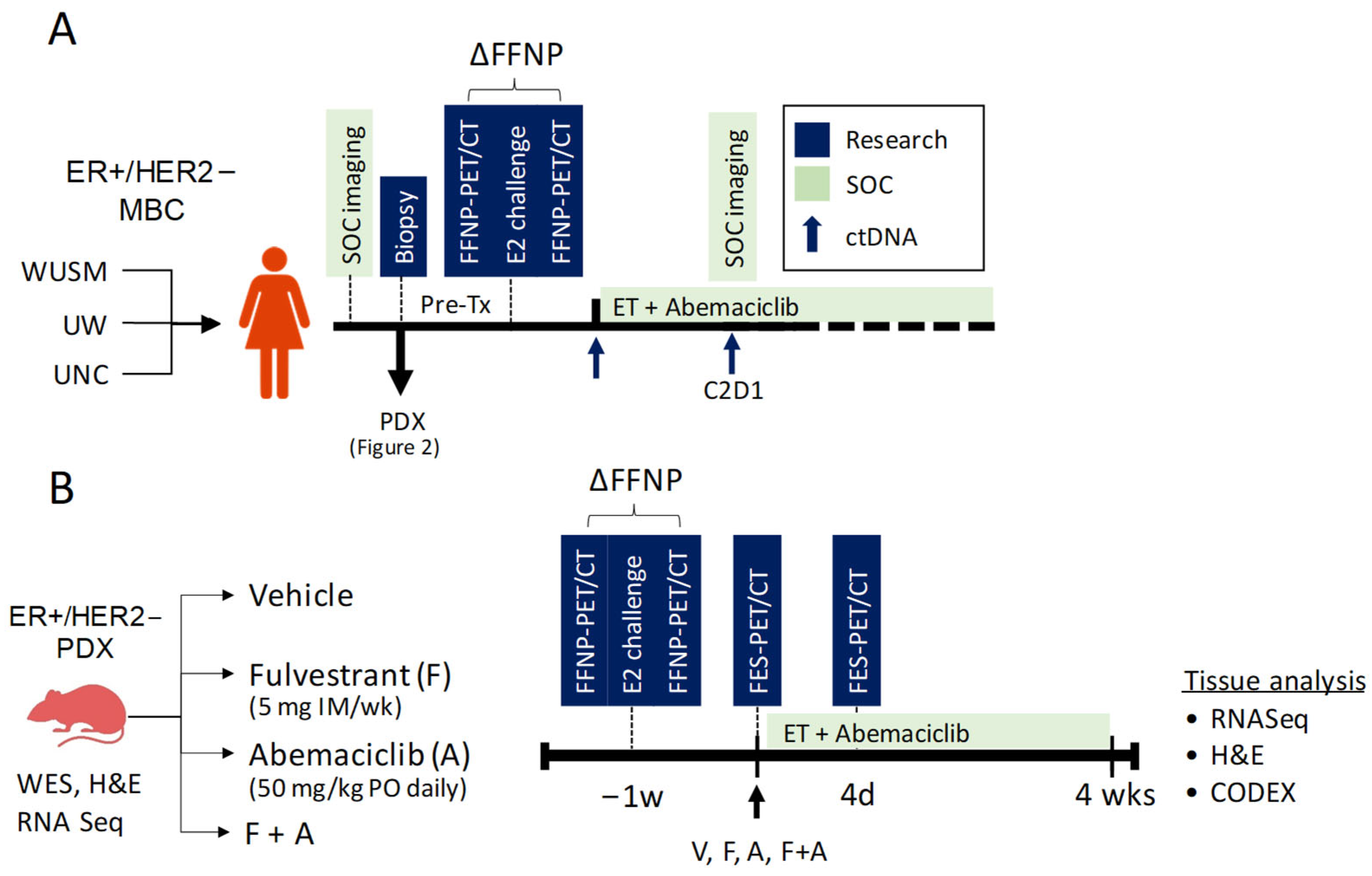 Tomography 09 00053 g009 Tomography 09 00053 g009