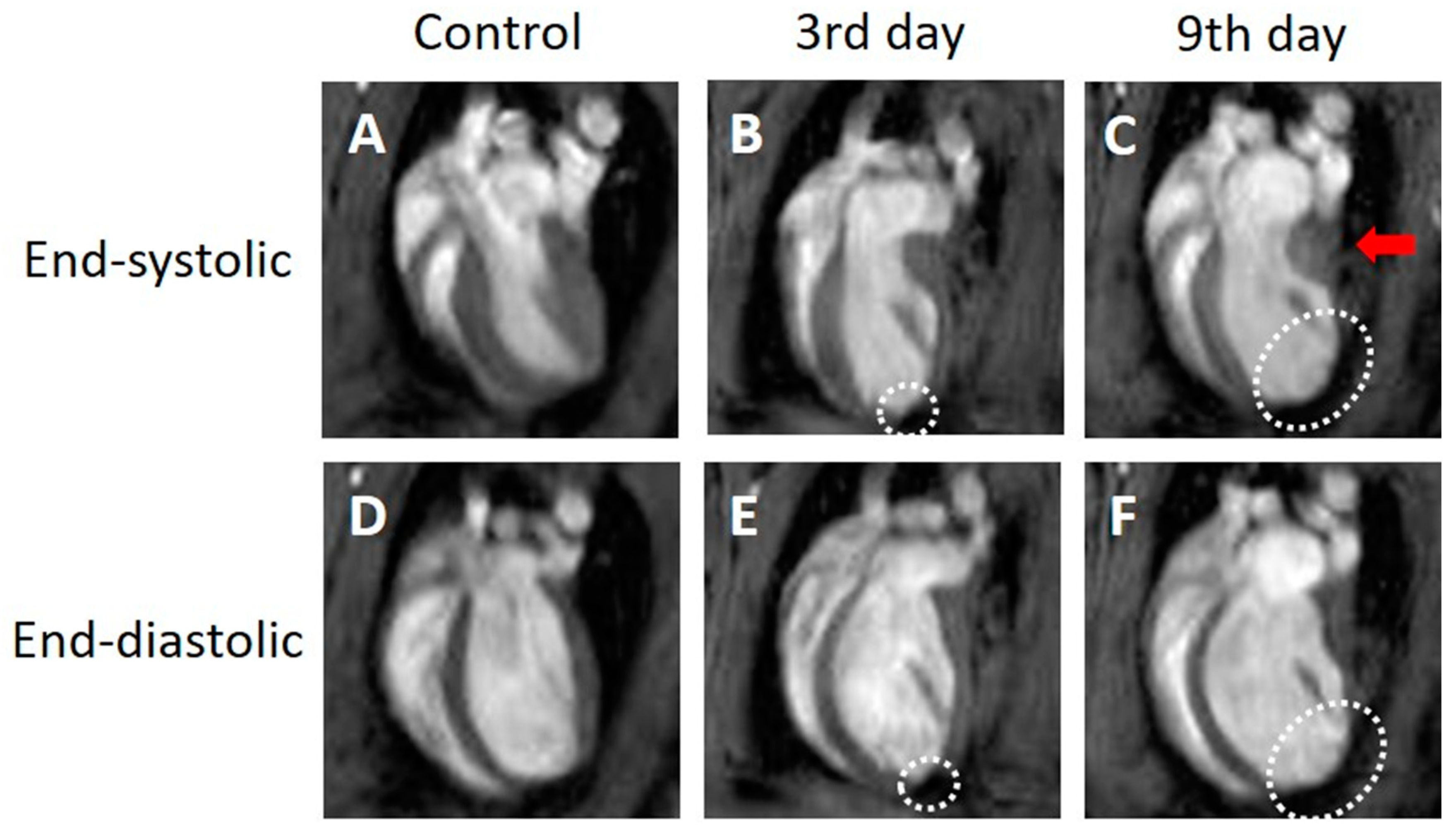 Tomography 09 00071 g001 Tomography 09 00071 g001