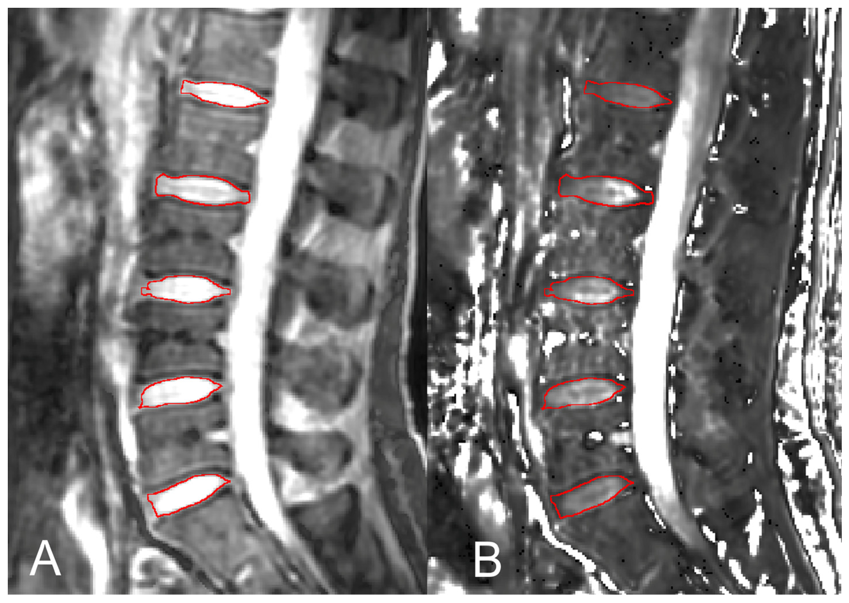 Tomography 09 00084 g001